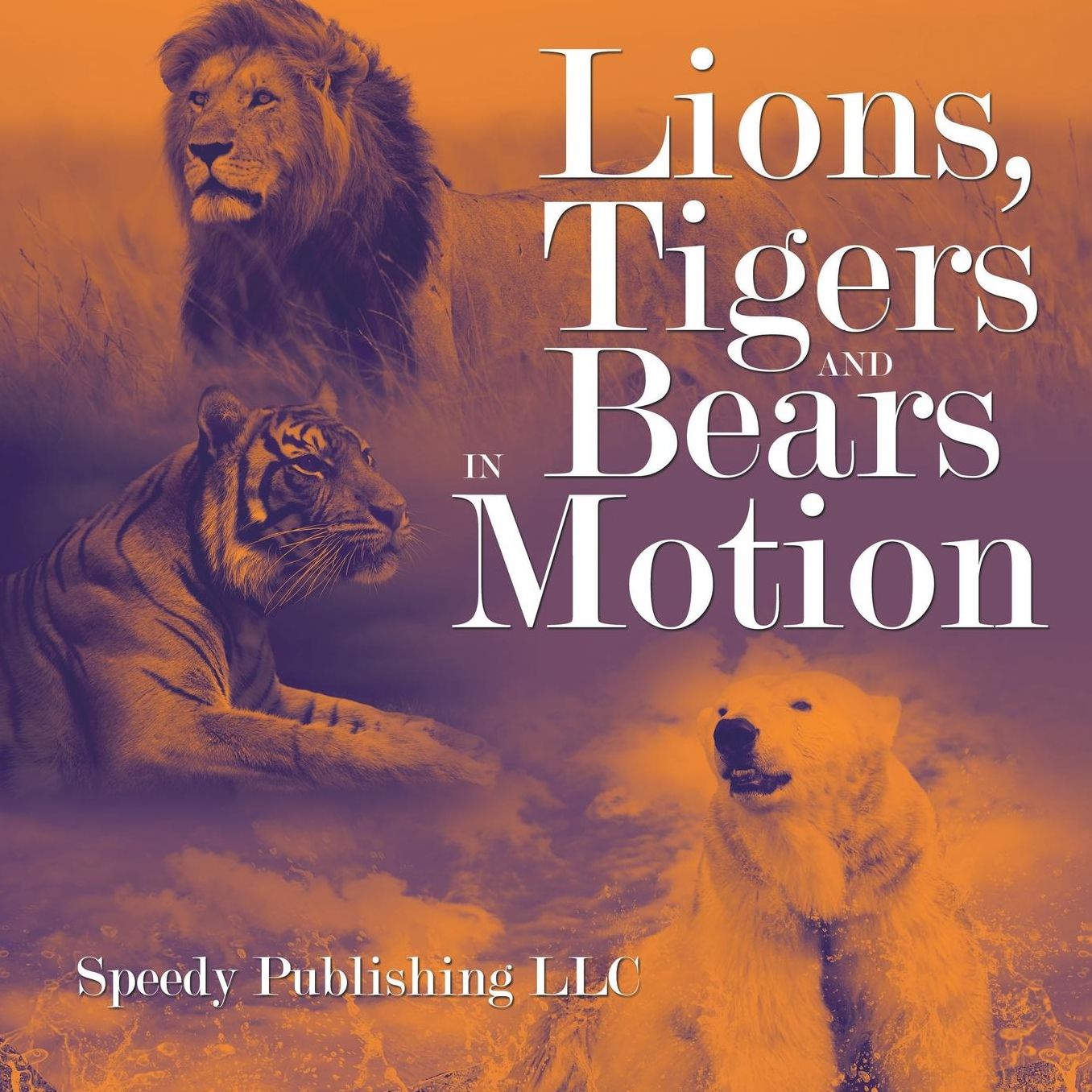 Lions, Tigers and Bears in Motion