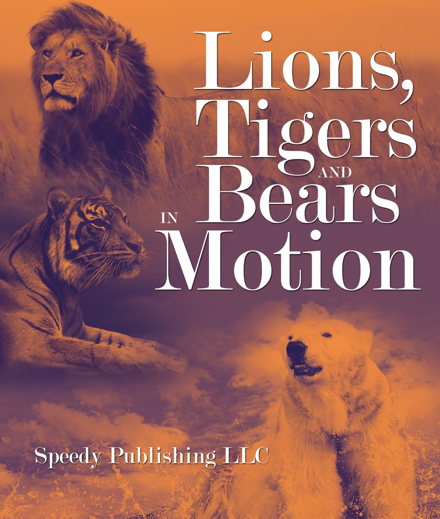 Lions, Tigers And Bears In Motion: A Wildlife Book for Kids