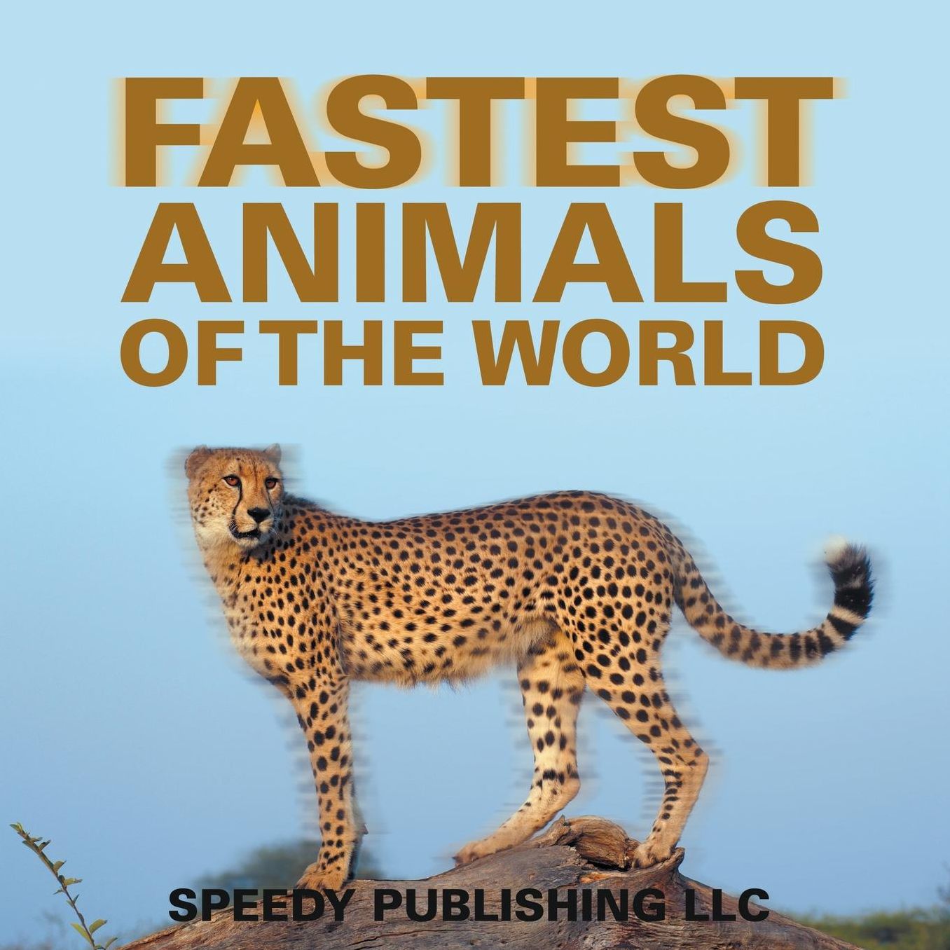Fastest Animals of the World