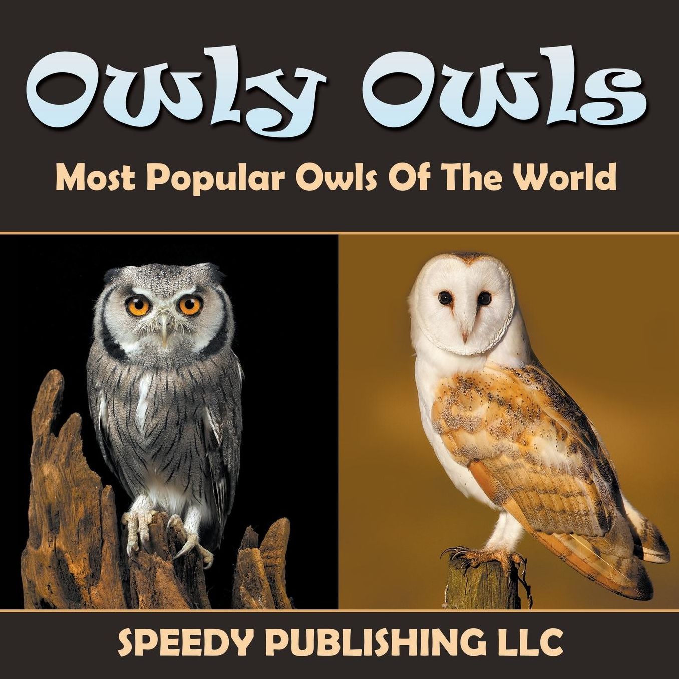 Owly Owls Most Popular Owls of the World