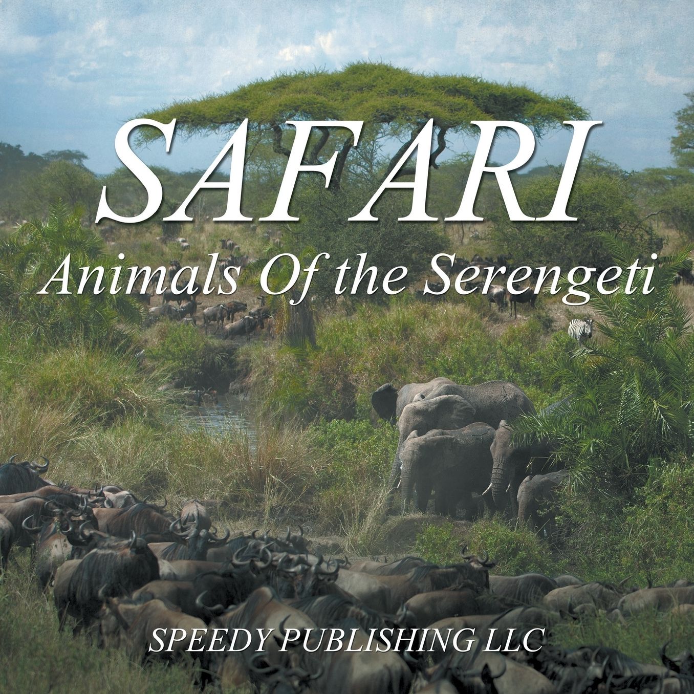 Safari - Animals of the Serengeti