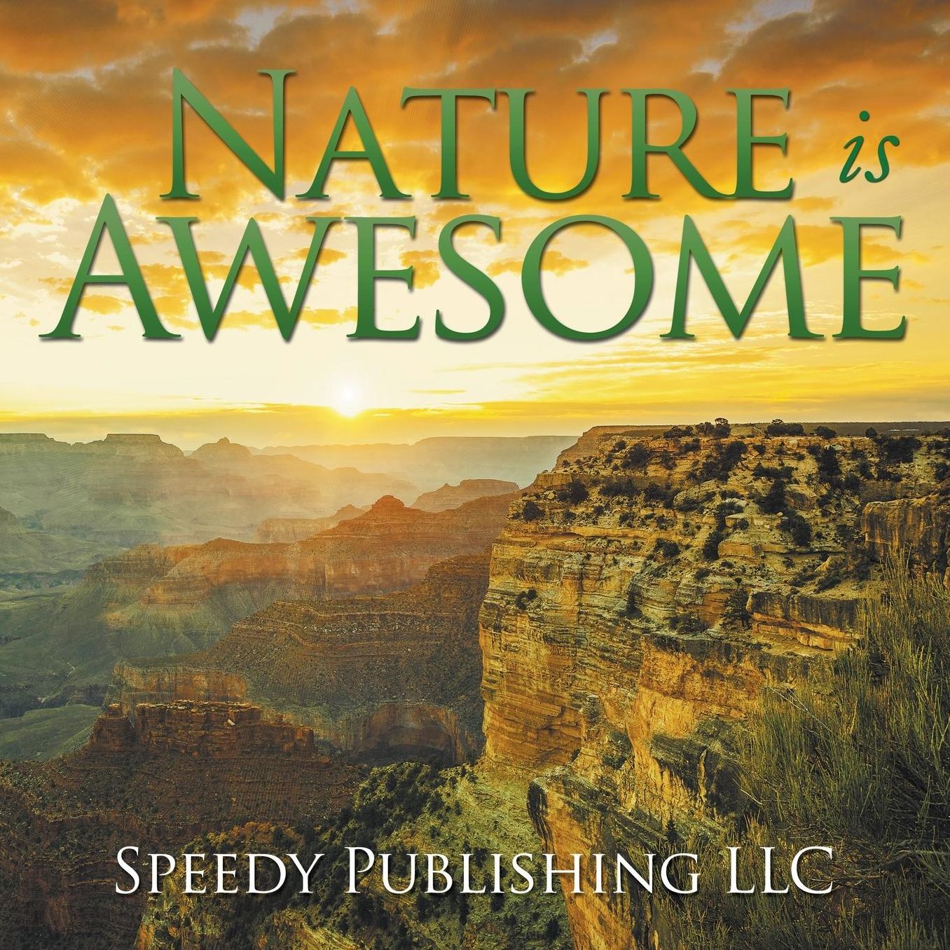 Nature Is Awesome