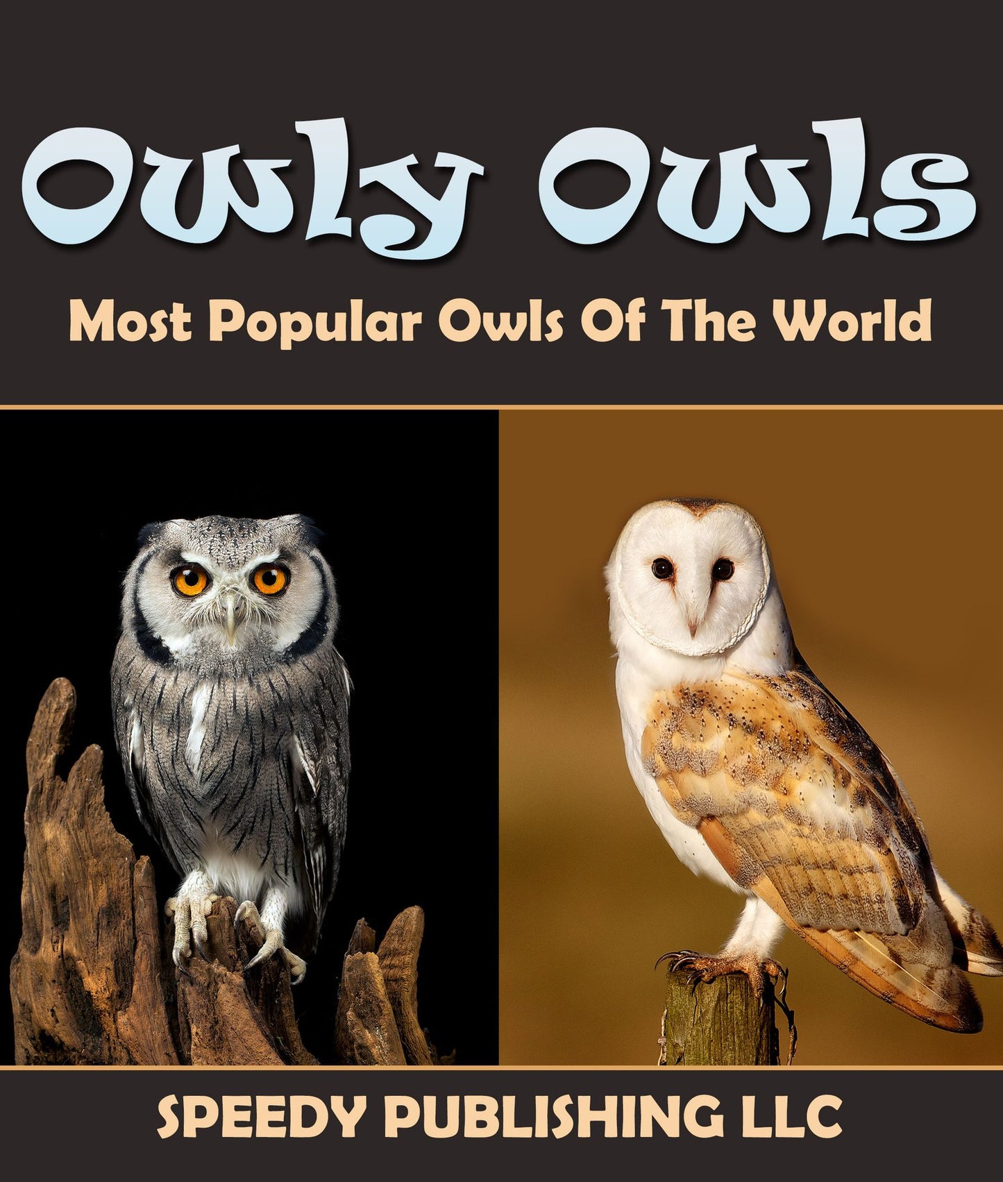 Owly Owls Most Popular Owls Of The World: Fun Facts and Pictures for Kids