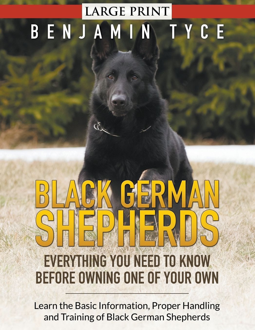 Black German Shepherds: Everything You Need To Know Before Owning One of Your Own (LARGE PRINT): Learn the Basic Information, Proper Handling and Training of Black German Shepherds