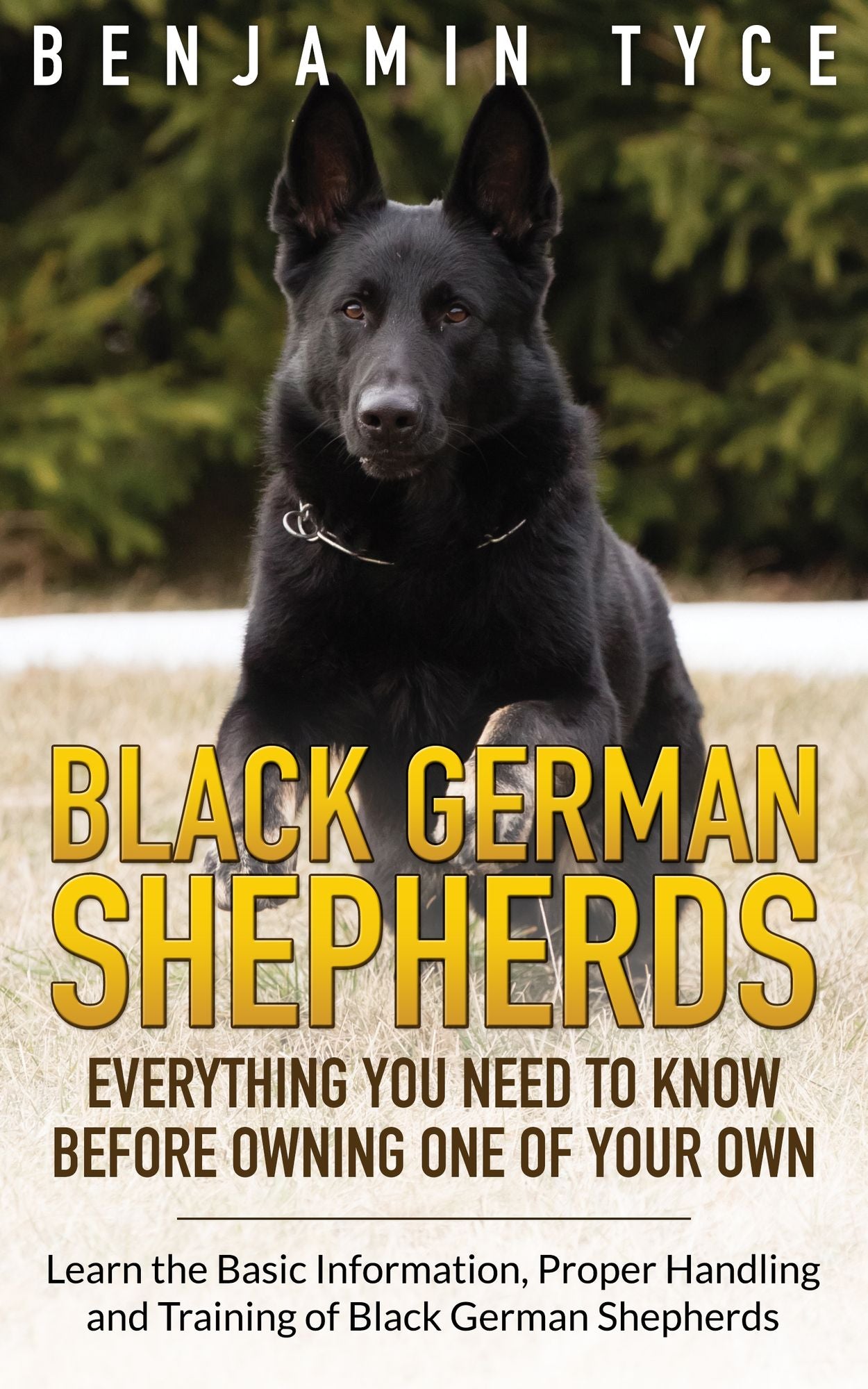 Black German Shepherds: Everything You Need To Know Before Owning One of Your Own: Learn the Basic Information, Proper Handling and Training of Black German Shepherds