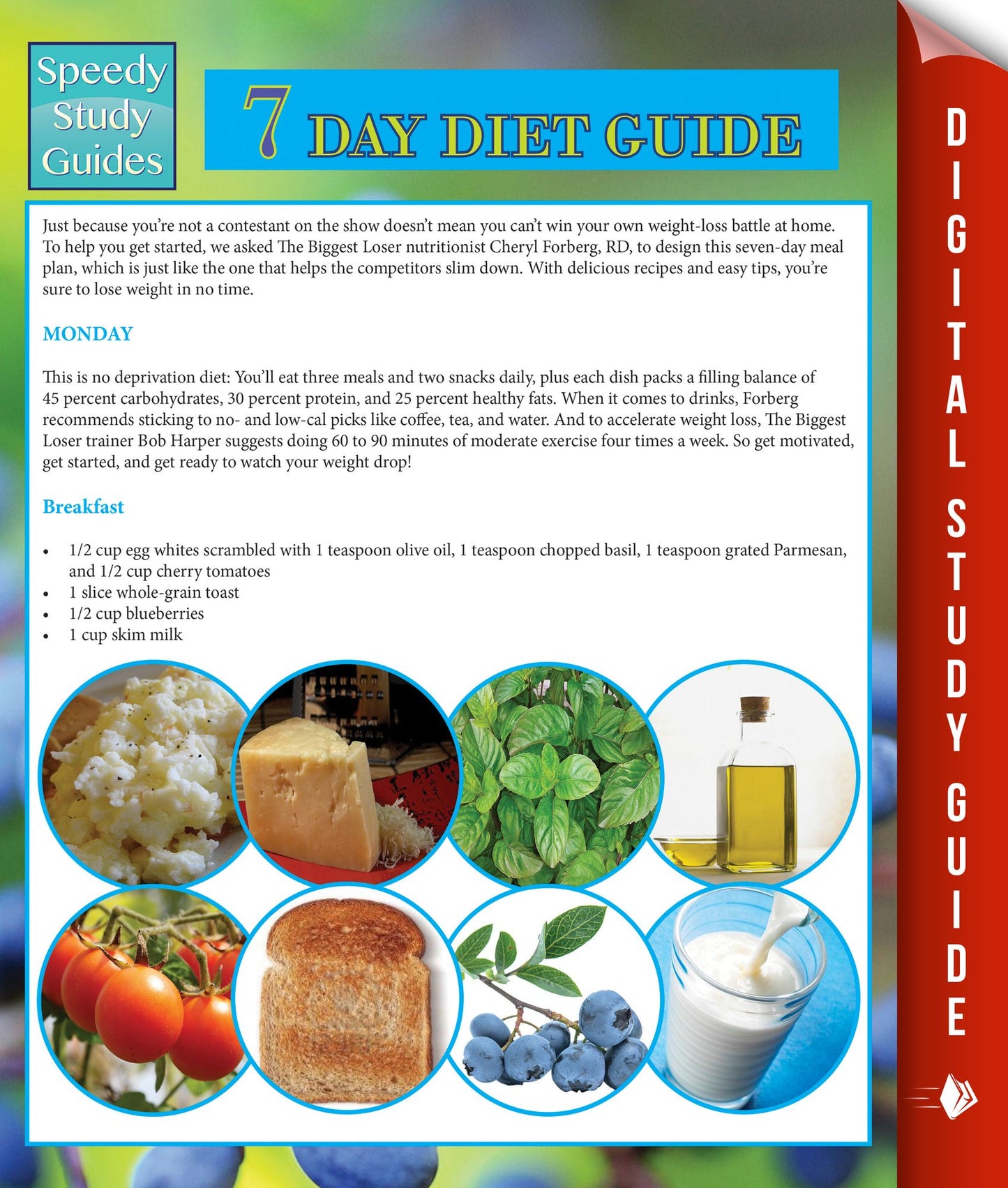 7 Day Diet Guide (Speedy Study Guide)
