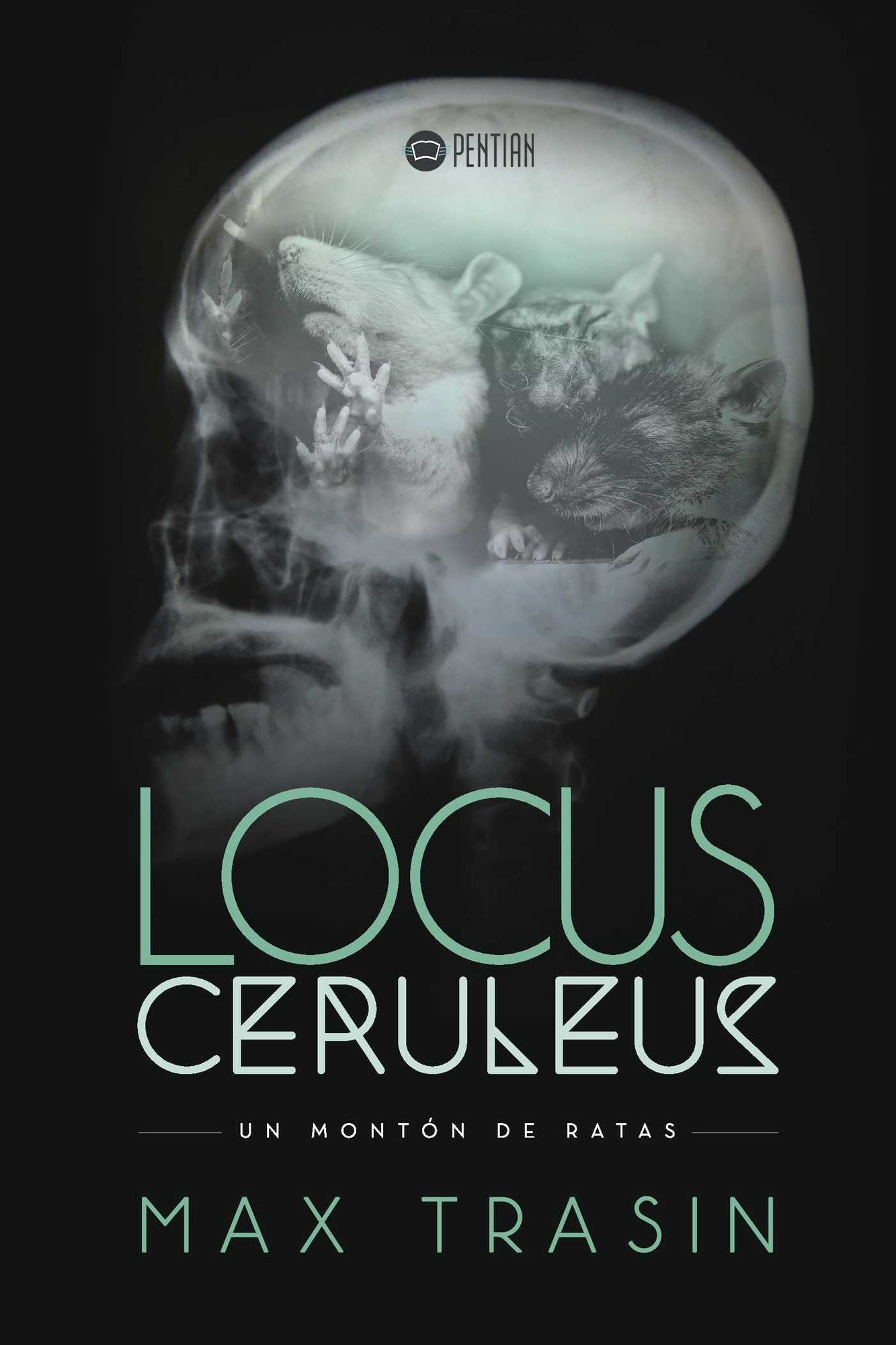 Locus Ceruleus