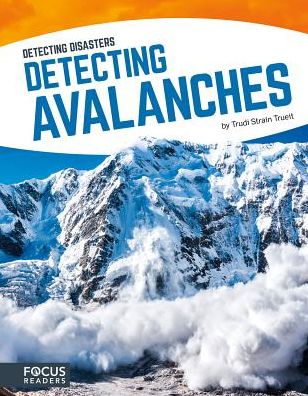 Detecting Avalanches