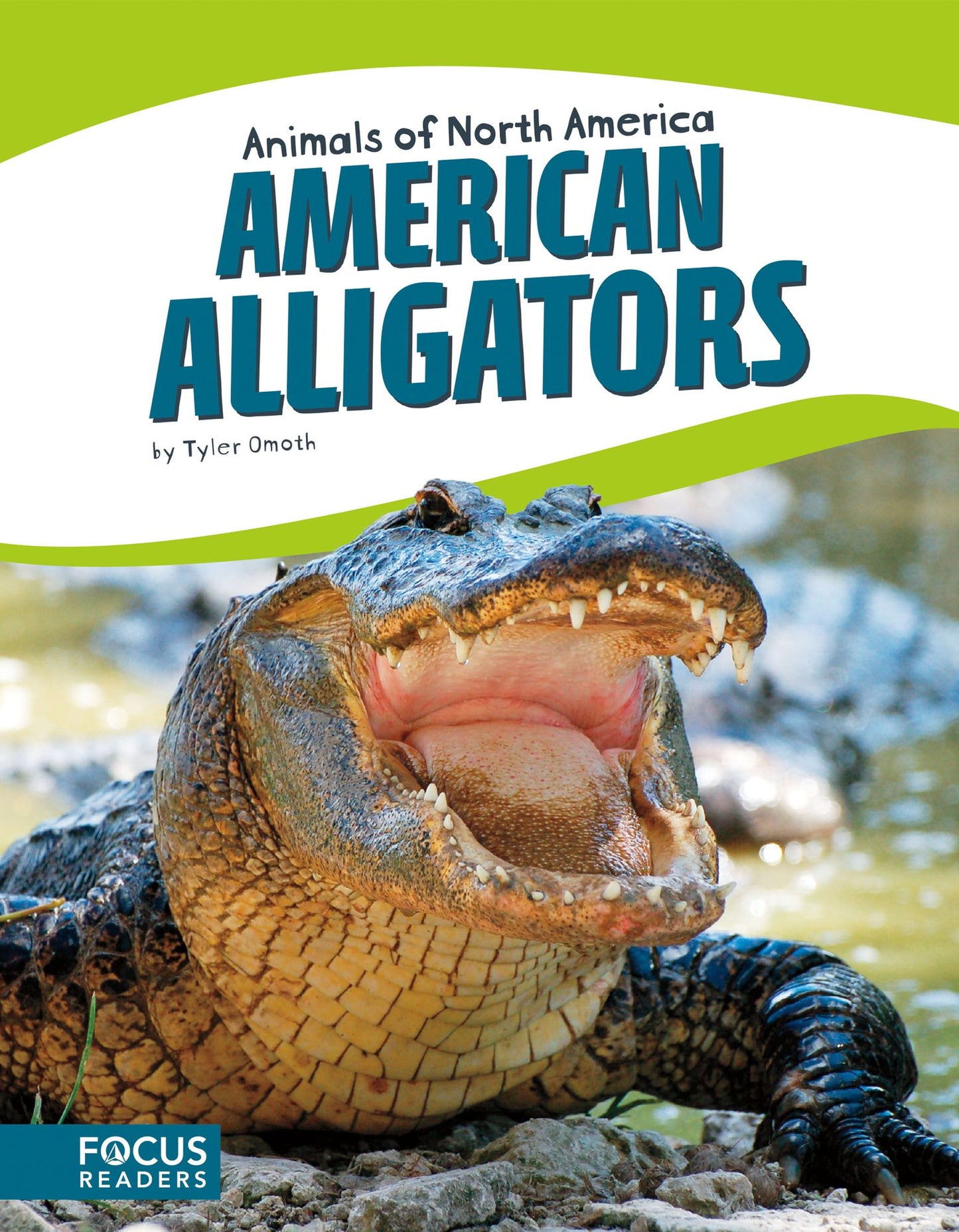 American Alligators