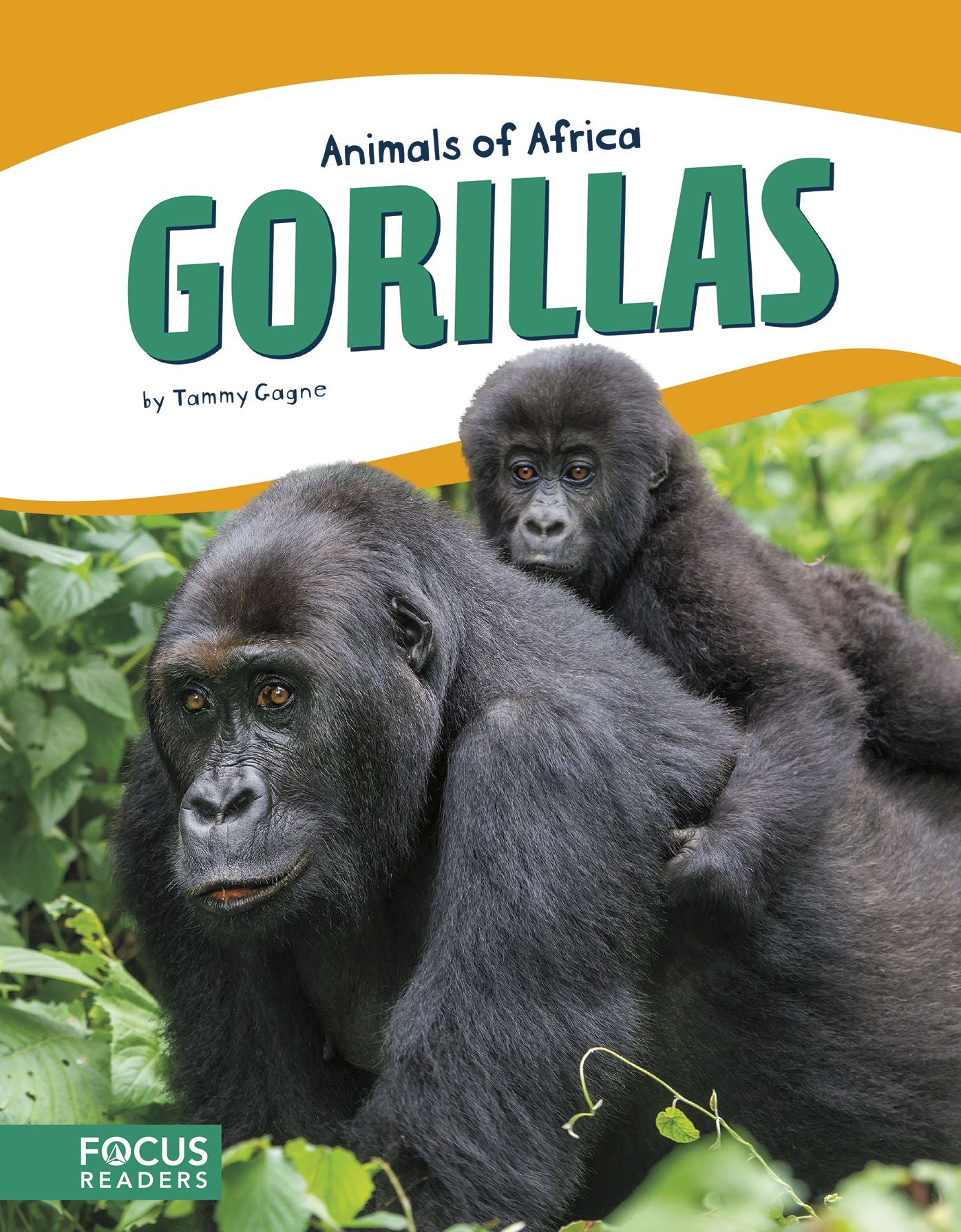 Gorillas