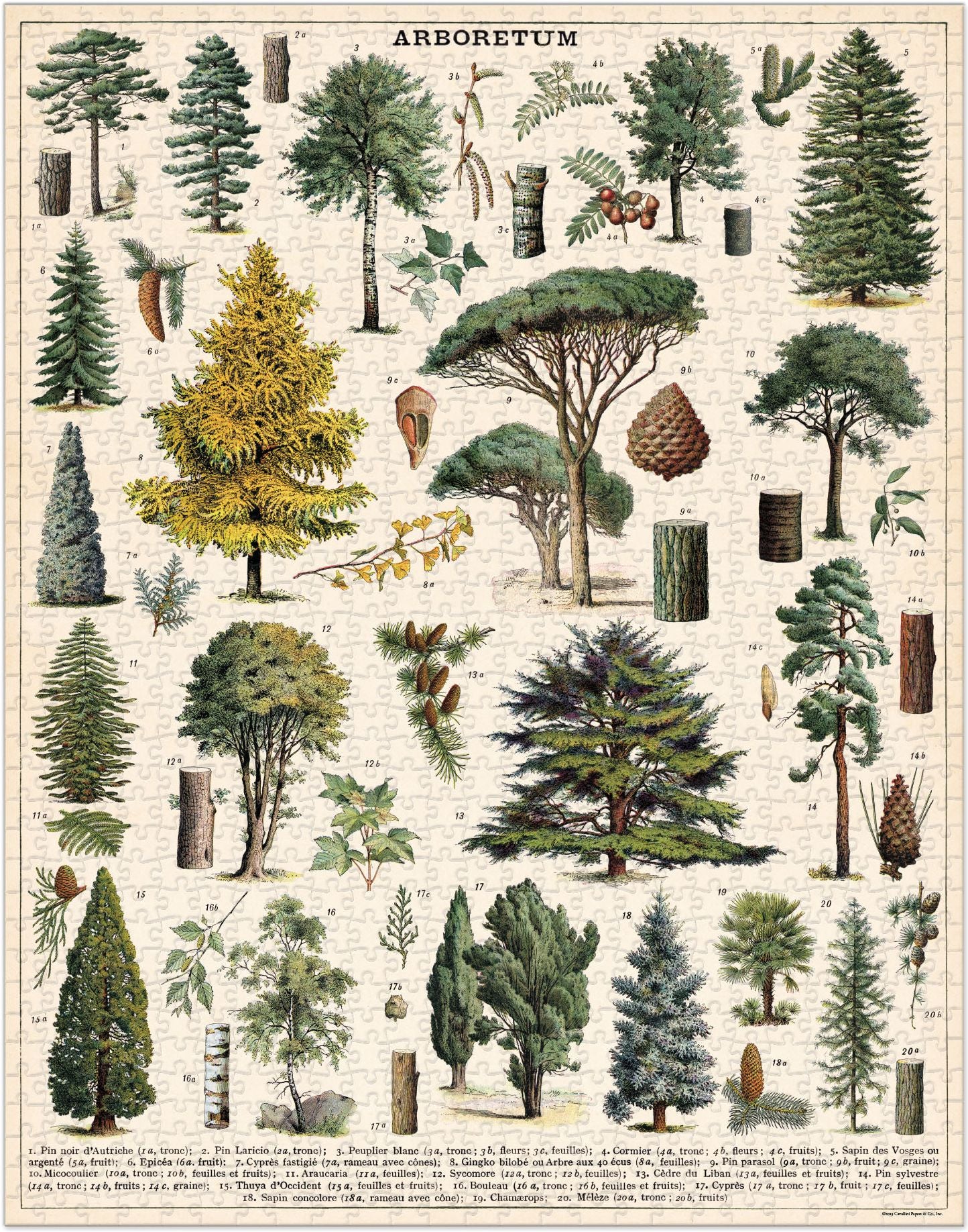Arboretum 1,000 piece puzzle