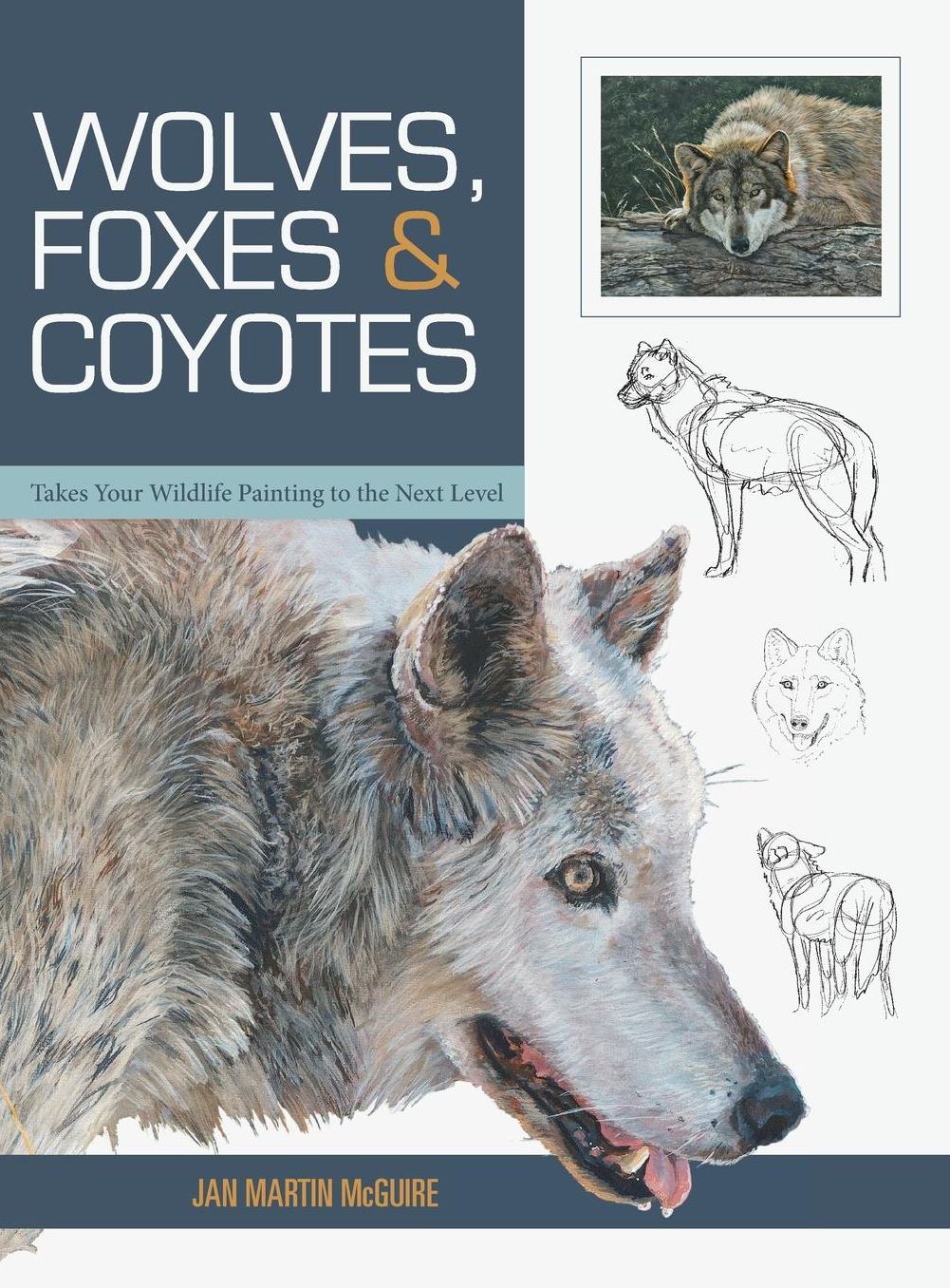 Wolves, Foxes & Coyotes (Wildlife Painting Basics)