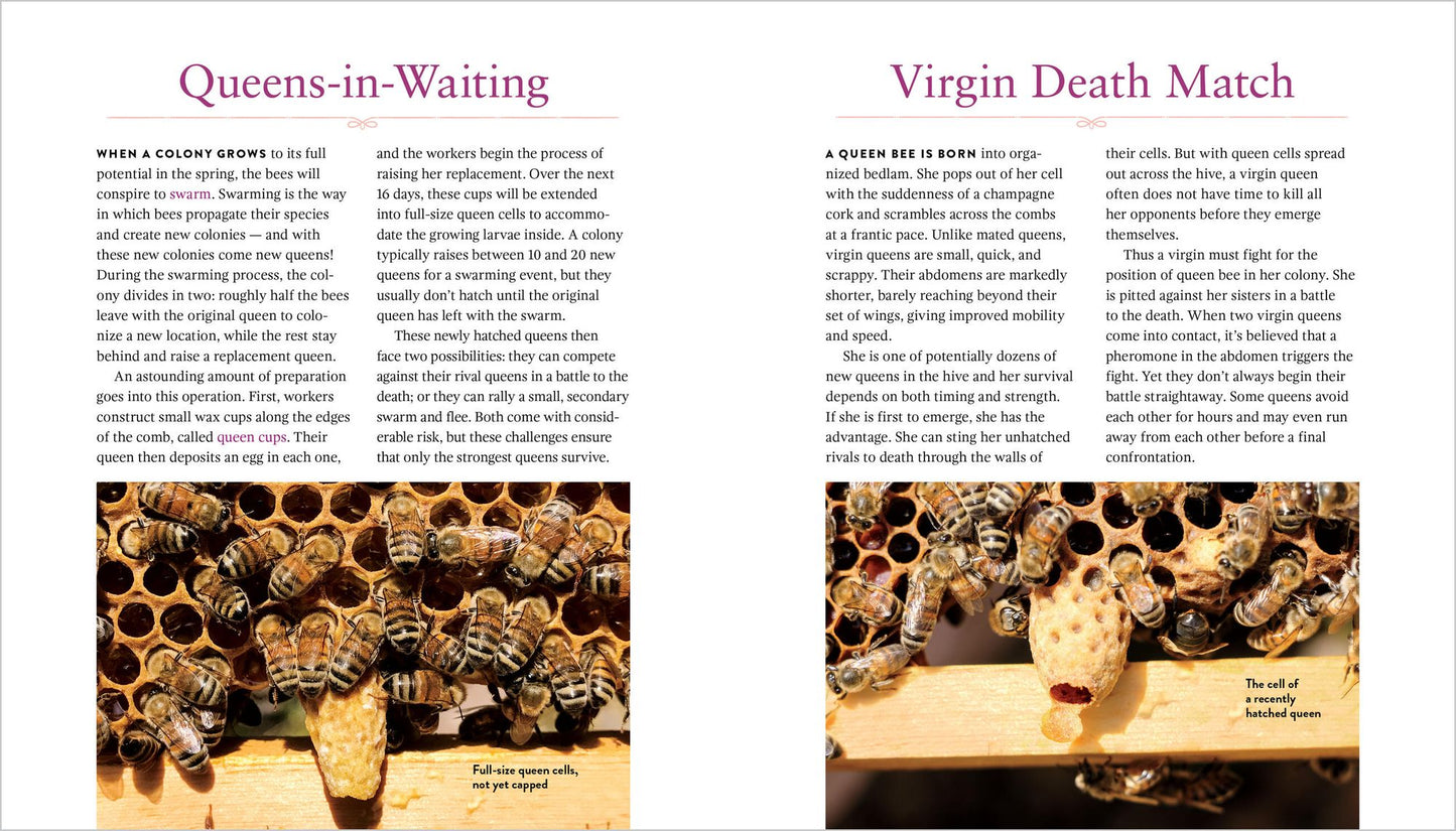 Queenspotting: Journey to the Heart of the Hive and Meet the Remarkable Queen Bee; Includes 48 Queenspotting Challenges