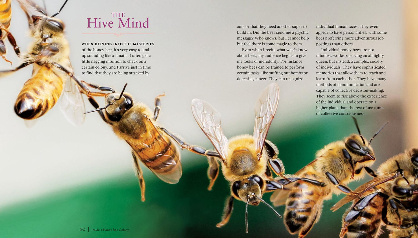 Queenspotting: Journey to the Heart of the Hive and Meet the Remarkable Queen Bee; Includes 48 Queenspotting Challenges