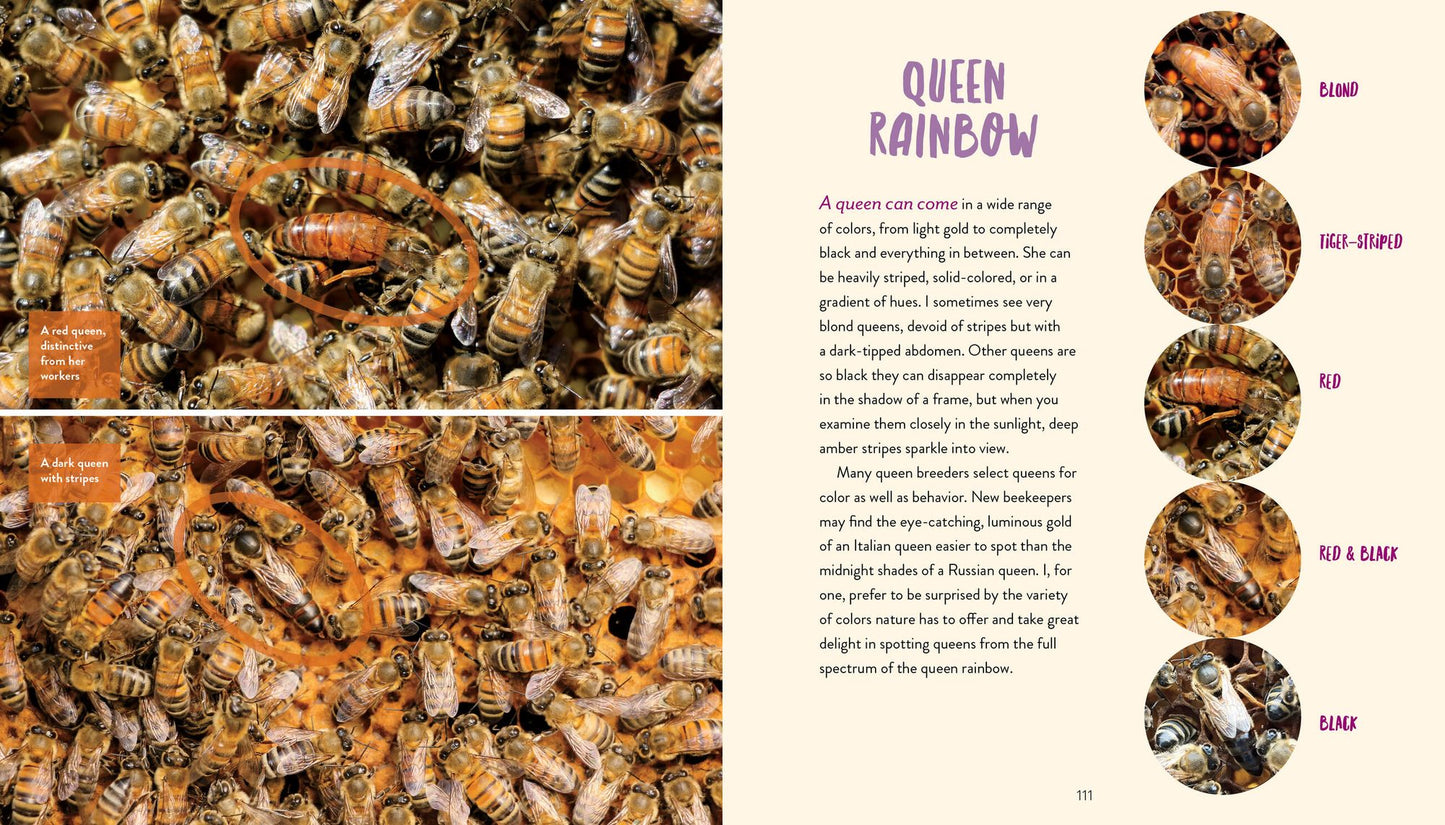 Queenspotting: Journey to the Heart of the Hive and Meet the Remarkable Queen Bee; Includes 48 Queenspotting Challenges