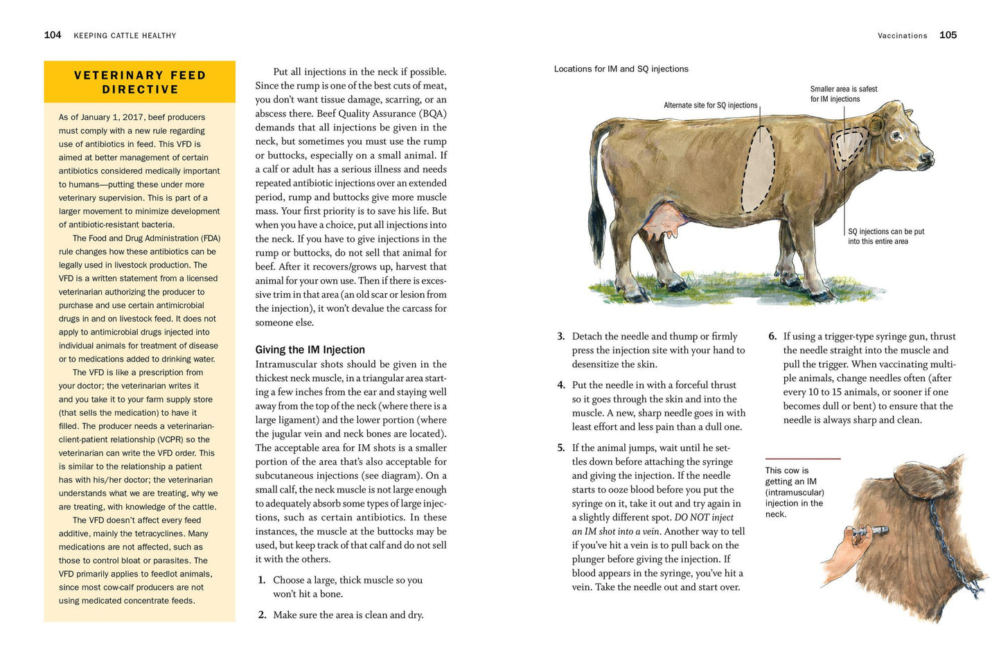 Storey's Guide to Raising Beef Cattle, 4th Edition: Health, Handling, Breeding