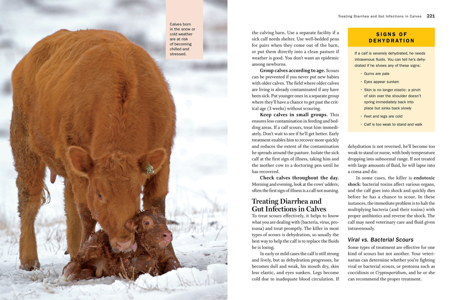 Storey's Guide to Raising Beef Cattle, 4th Edition: Health, Handling, Breeding
