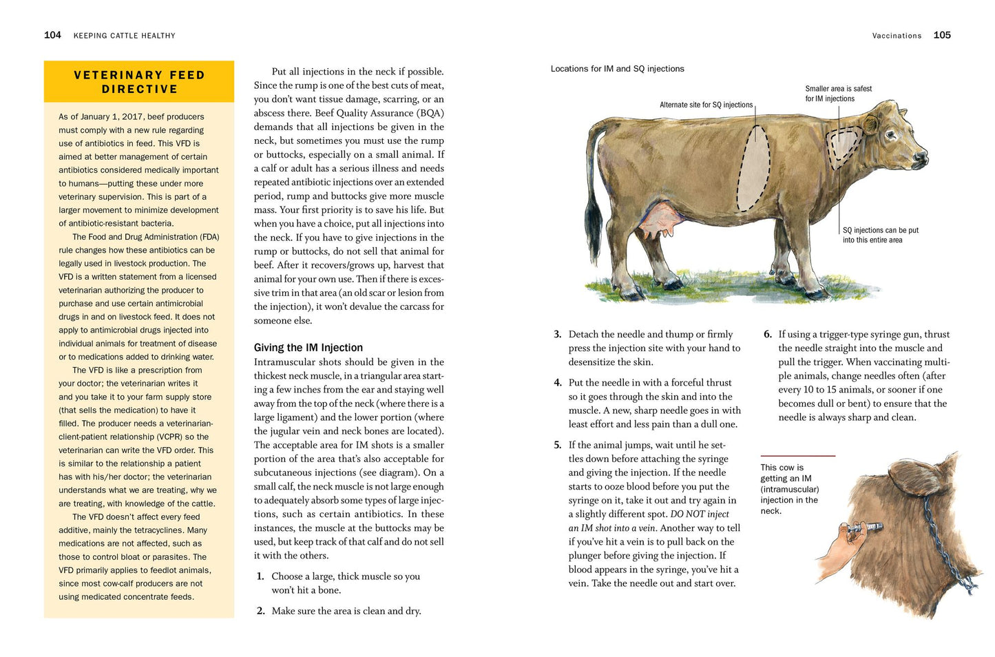 Storey's Guide to Raising Beef Cattle, 4th Edition: Health, Handling, Breeding
