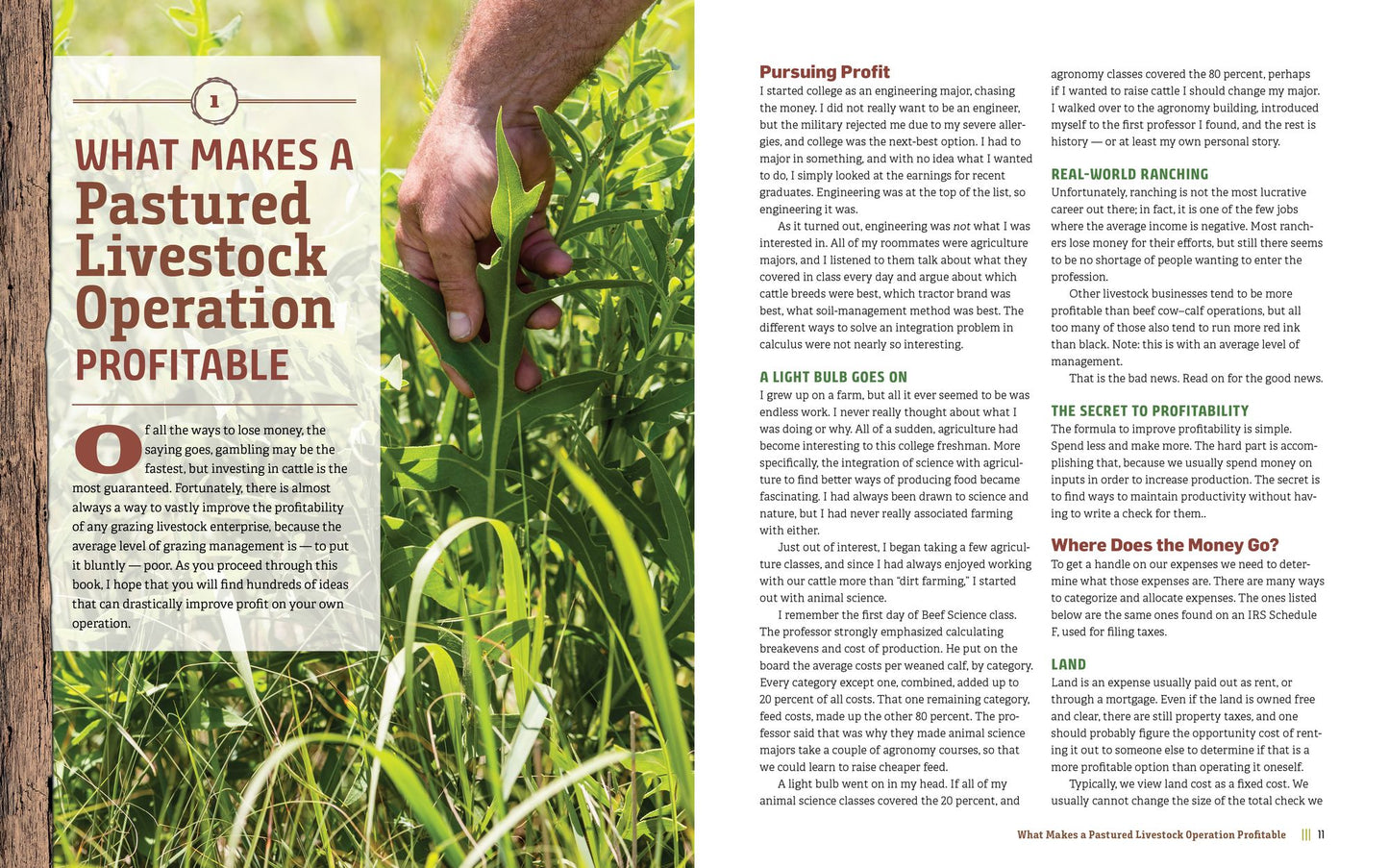 Managing Pasture: A Complete Guide to Building Healthy Pasture for Grass-Based Meat & Dairy Animals