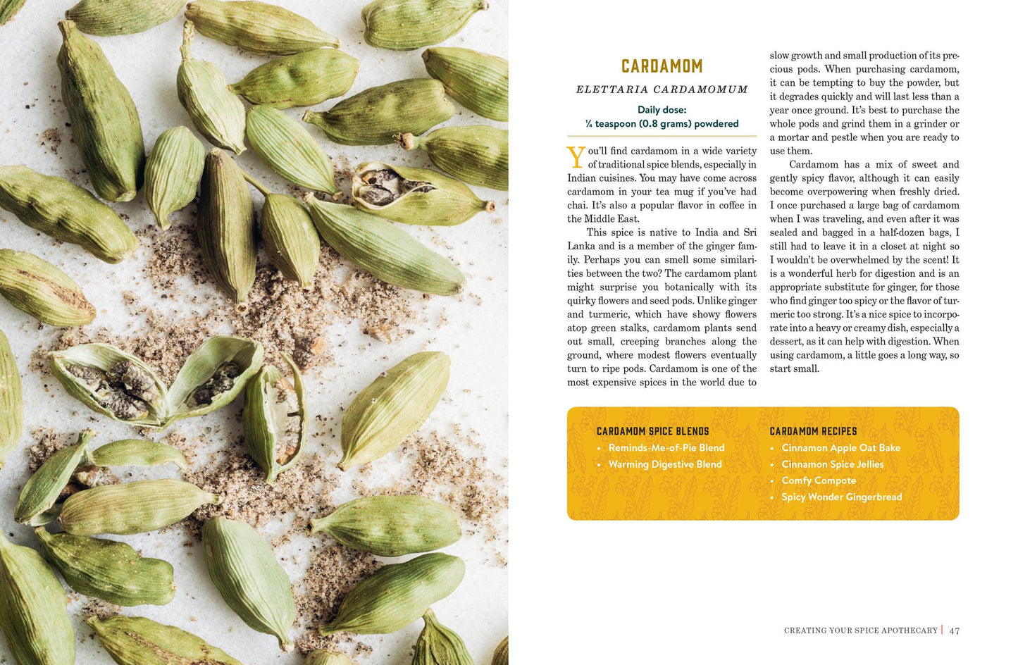 Spice Apothecary: Blending and Using Common Spices for Everyday Health