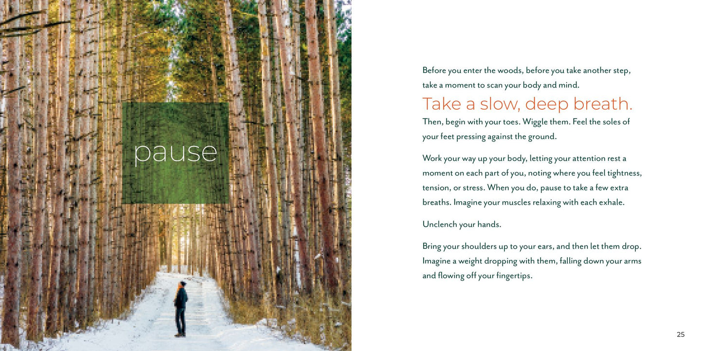 Forest Bathing Retreat: Find Wholeness in the Company of Trees