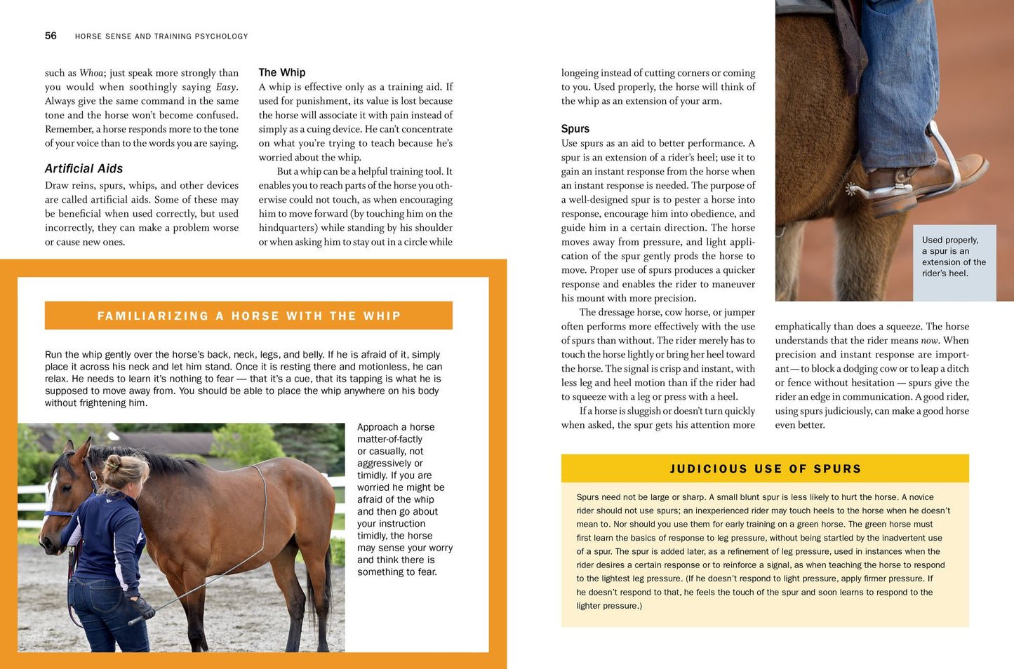 Storey's Guide to Training Horses, 3rd Edition: Ground Work, Driving, Riding