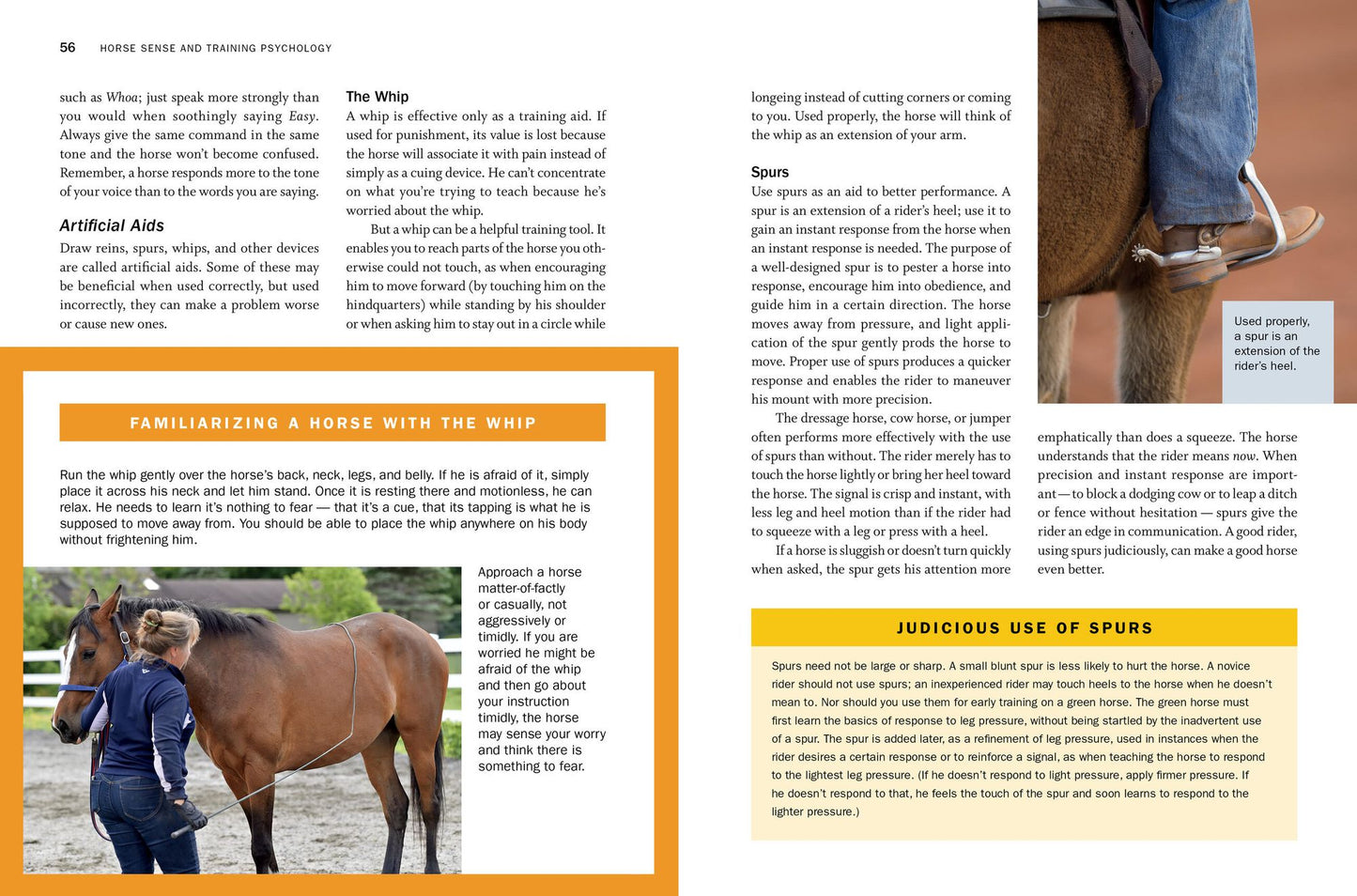 Storey's Guide to Training Horses, 3rd Edition: Ground Work, Driving, Riding