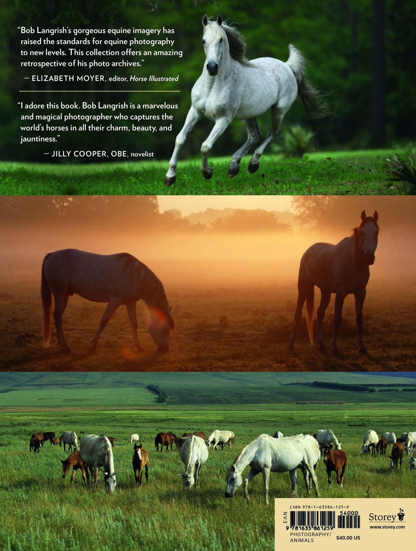 Bob Langrish's World of Horses: A Master Photographer's Lifelong Quest to Capture the Most Magnificent Horses in the World