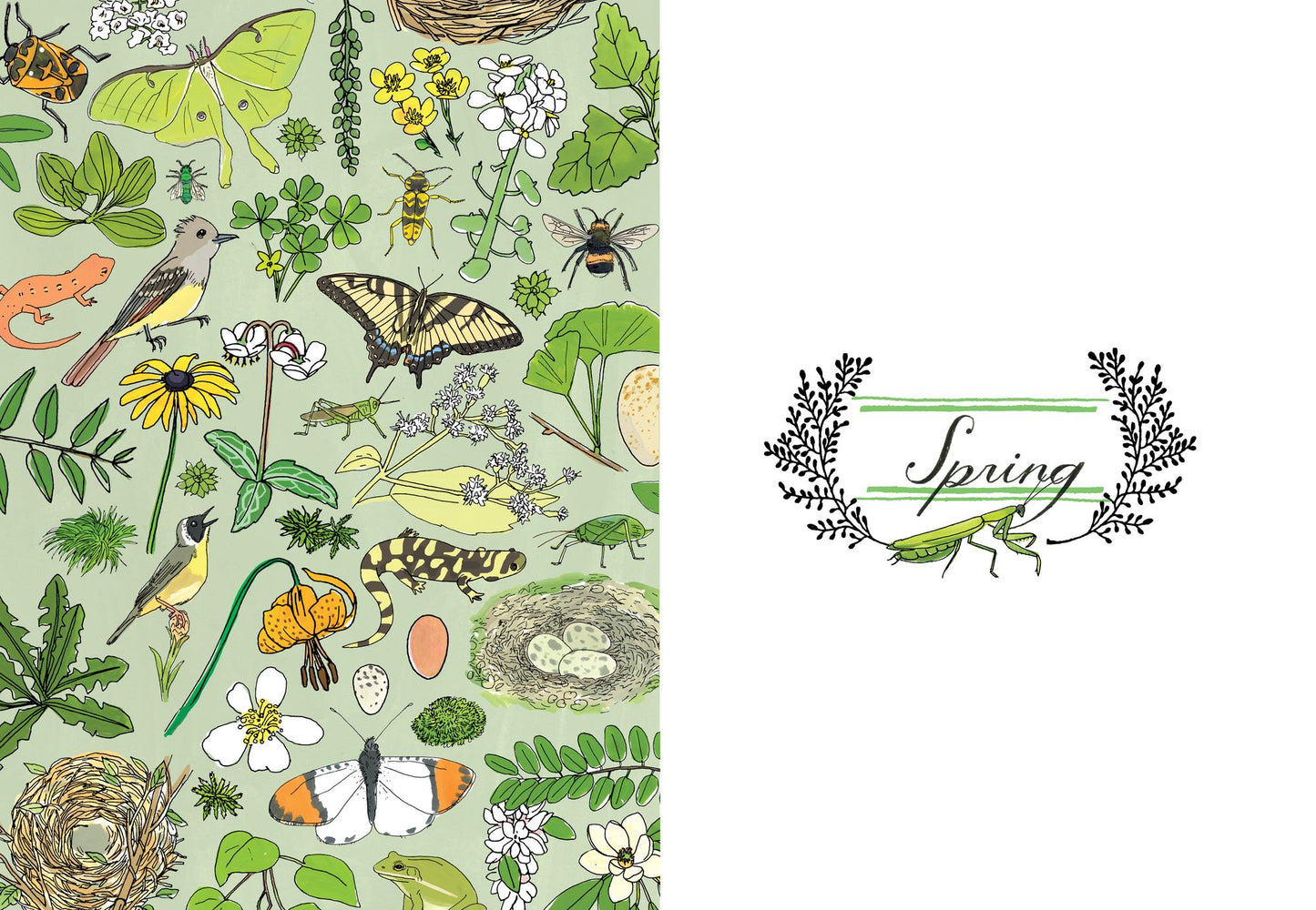Nature Anatomy Notebook: A Place to Track and Draw Your Daily Observations