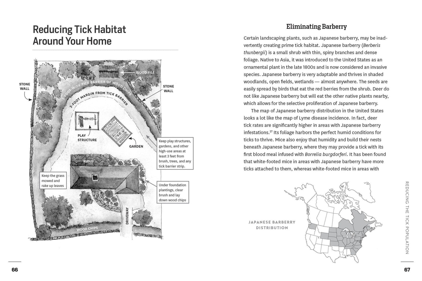 Preventing Lyme and Other Tick-Borne Diseases: Control Ticks in the Home Landscape; Prevent Infection Using Herbal Protocols; Treat Tick Bites with Natural Remedies