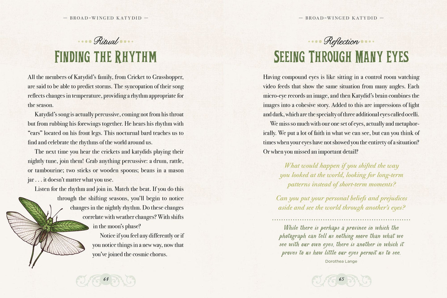The Illustrated Bestiary: Guidance and Rituals from 36 Inspiring Animals