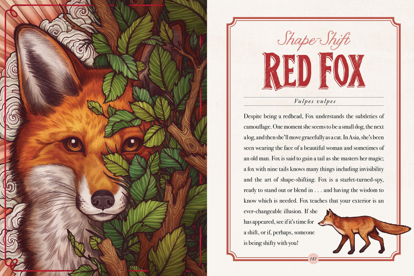 The Illustrated Bestiary: Guidance and Rituals from 36 Inspiring Animals