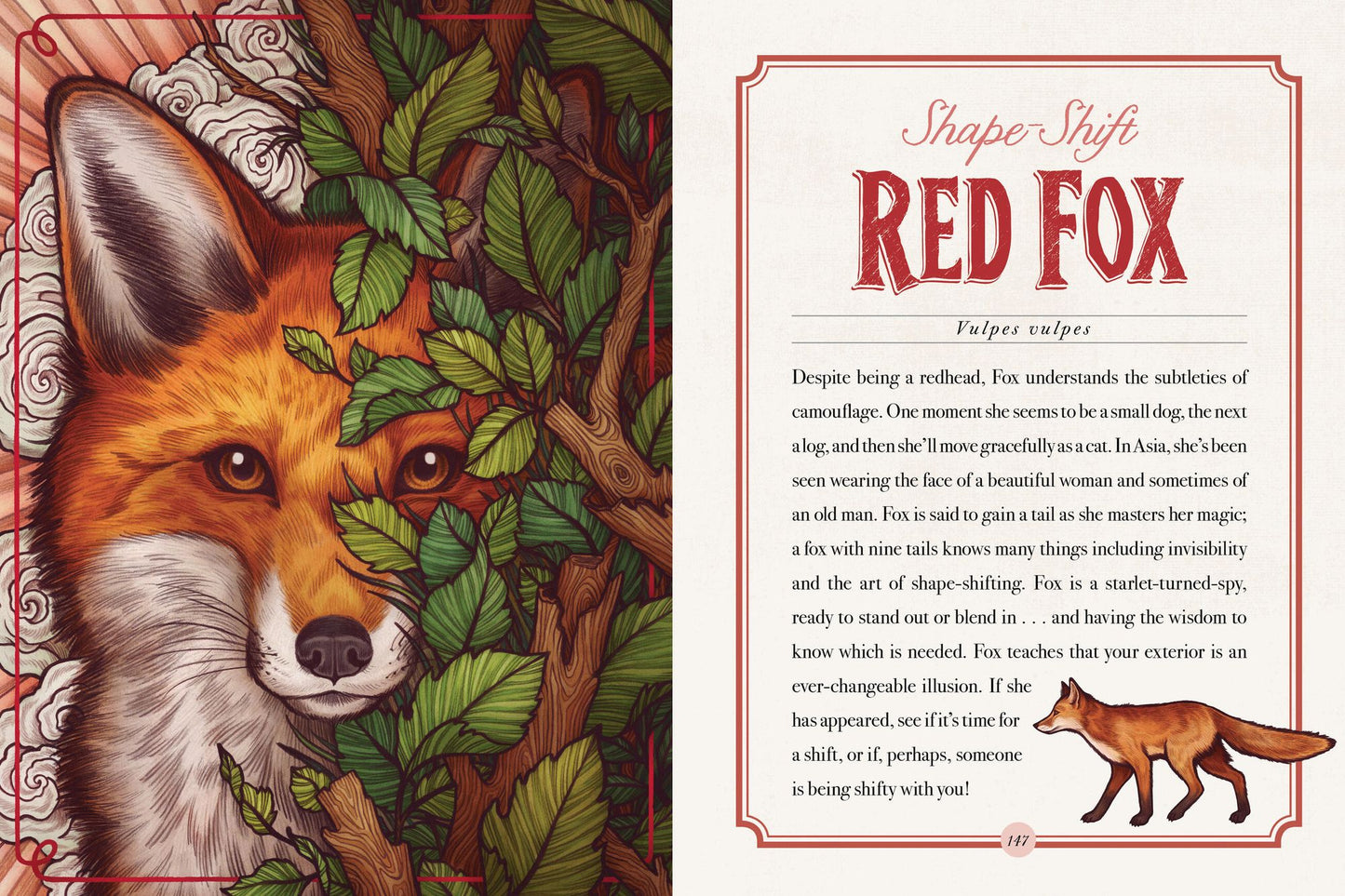 The Illustrated Bestiary: Guidance and Rituals from 36 Inspiring Animals