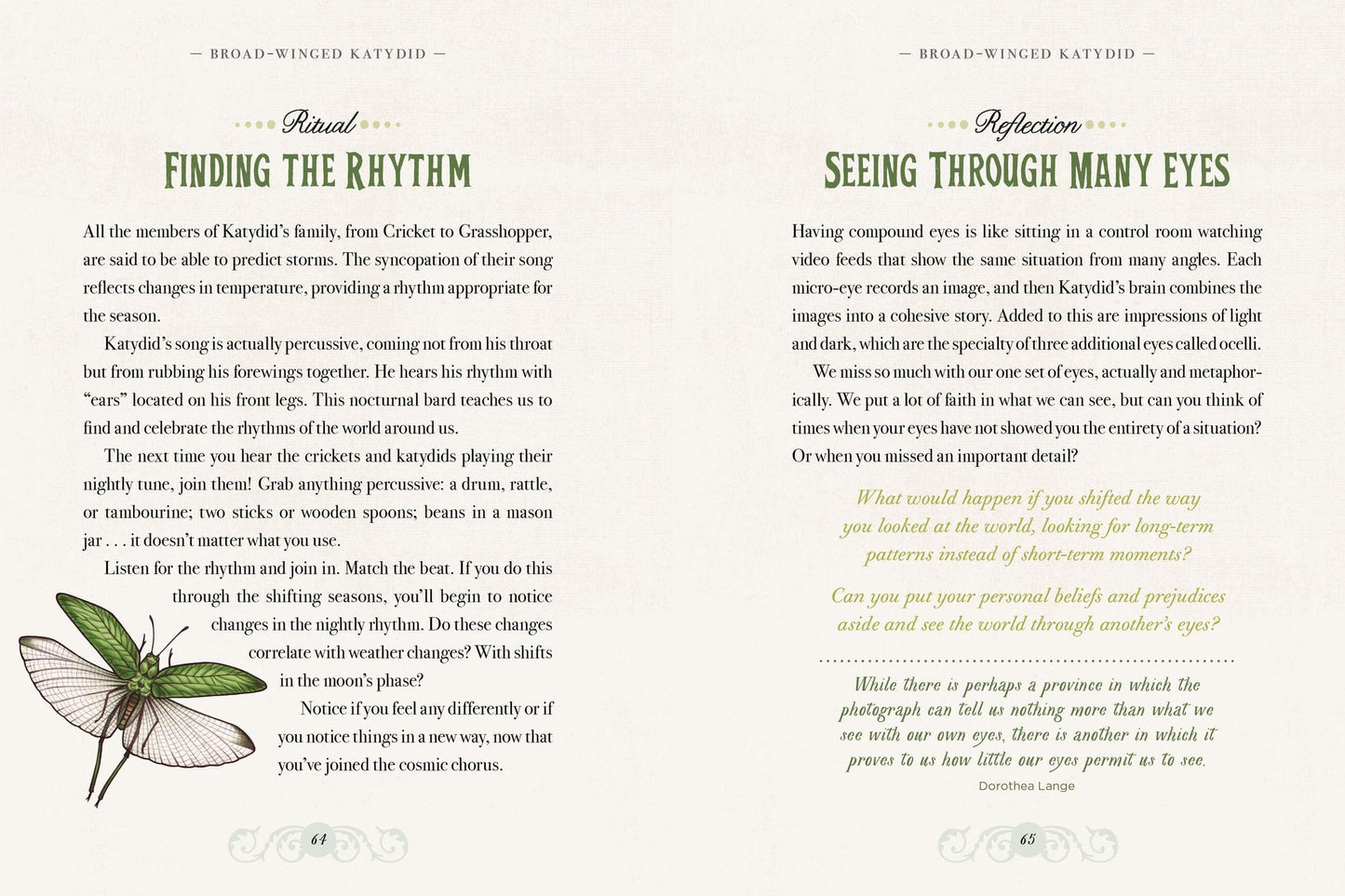 The Illustrated Bestiary: Guidance and Rituals from 36 Inspiring Animals