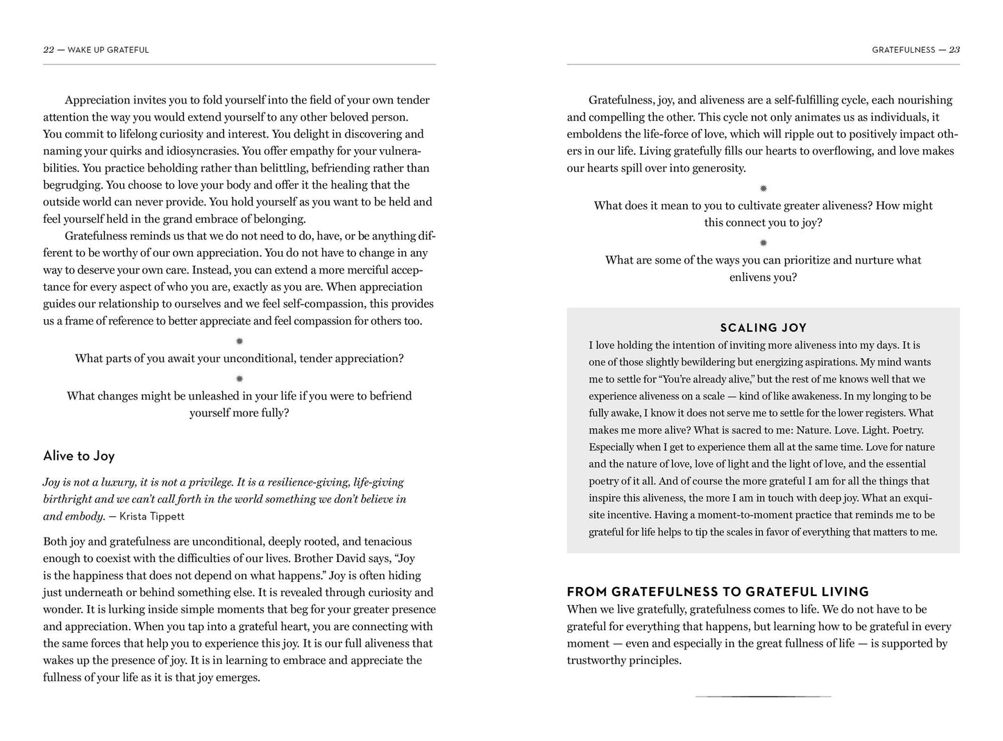 Wake Up Grateful: The Transformative Practice of Taking Nothing for Granted