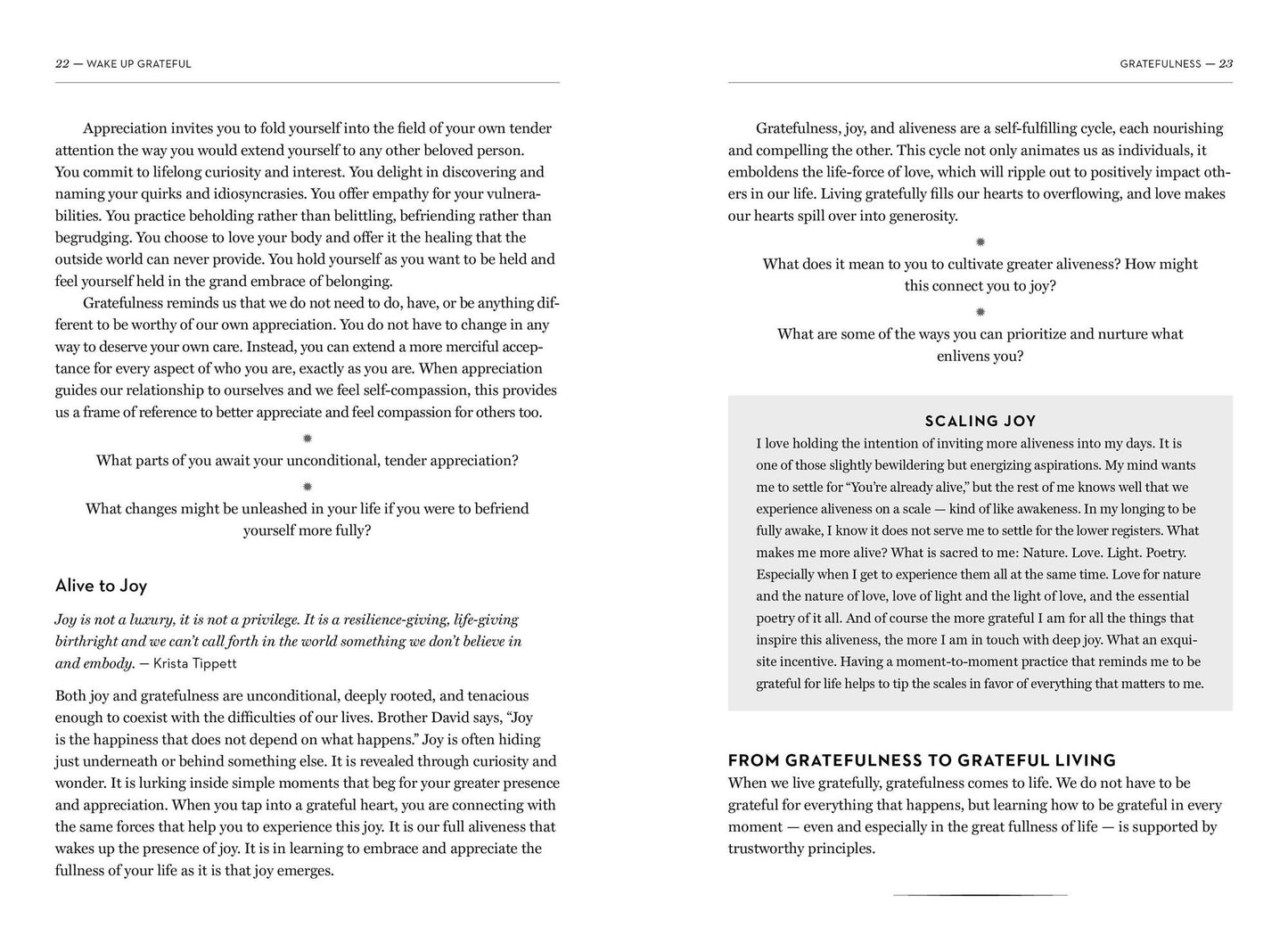 Wake Up Grateful: The Transformative Practice of Taking Nothing for Granted