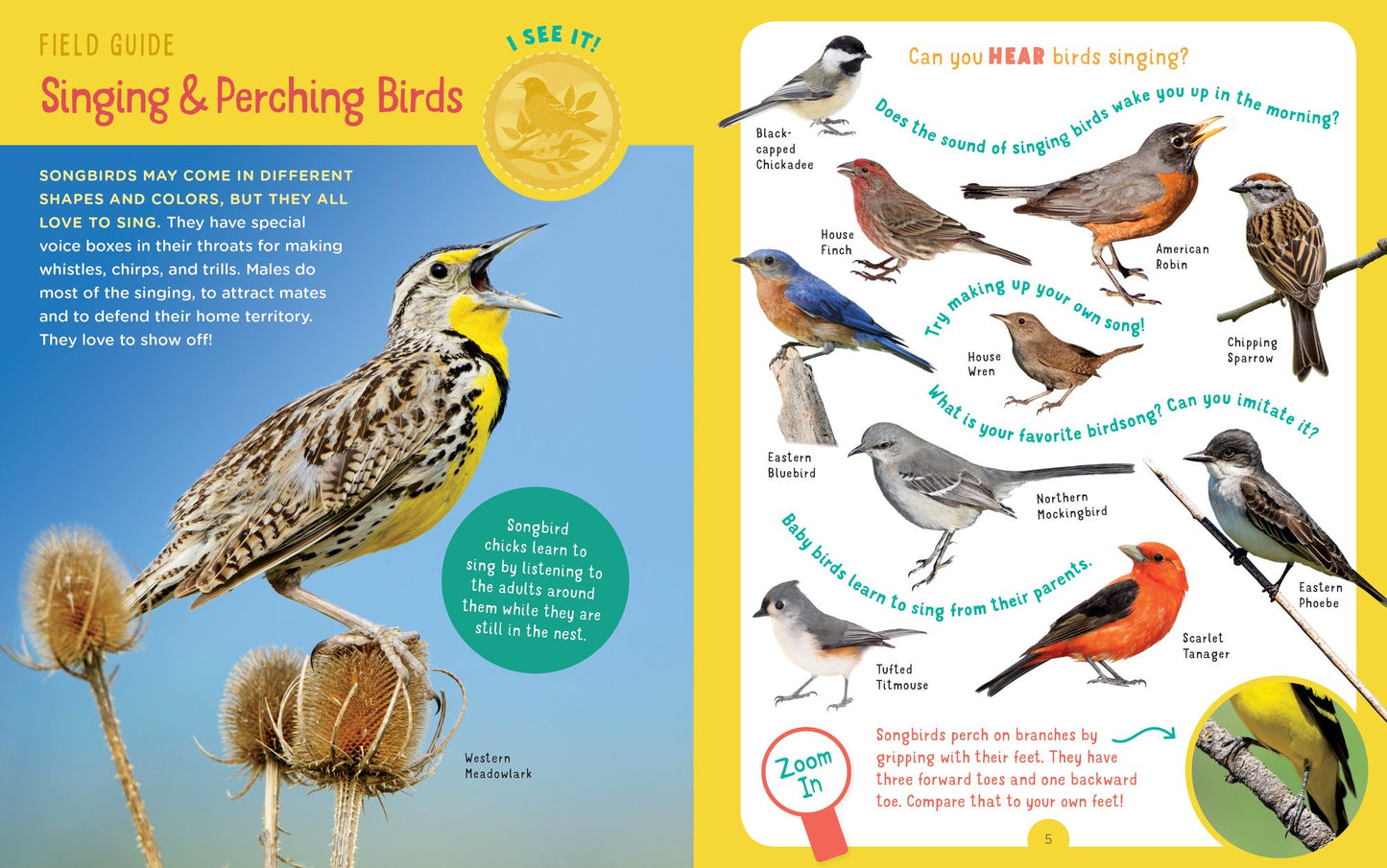 Backpack Explorer: Bird Watch: What Will You See?