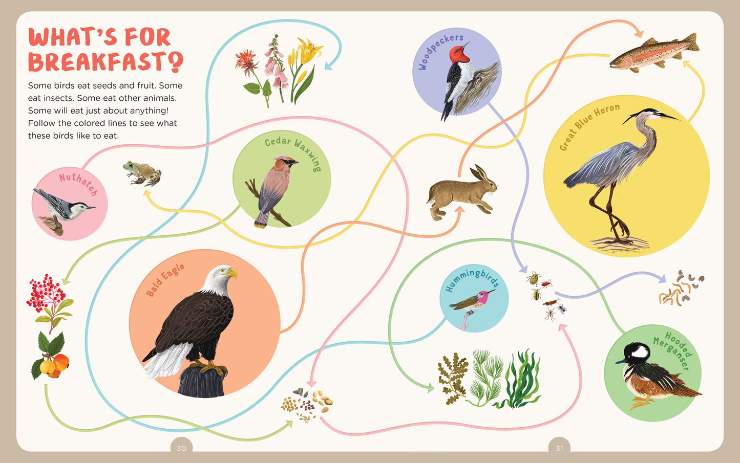 Backpack Explorer: Bird Watch: What Will You See?