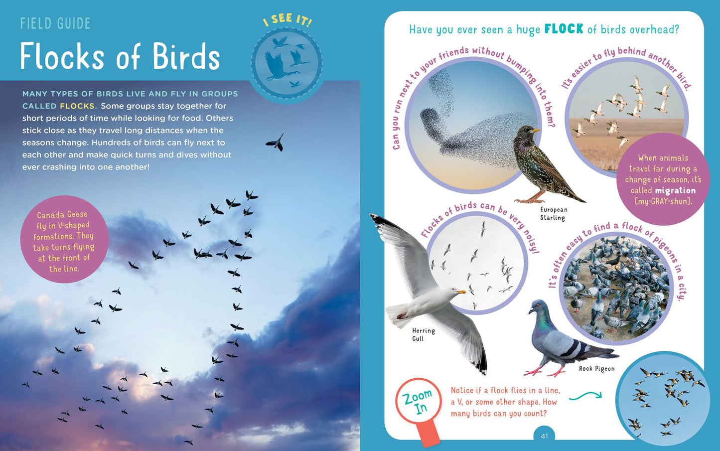 Backpack Explorer: Bird Watch: What Will You See?