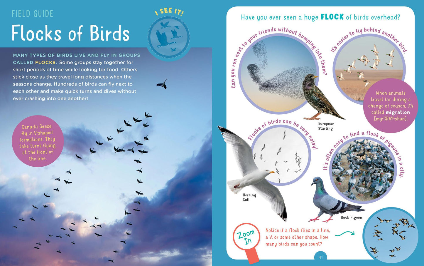 Backpack Explorer: Bird Watch: What Will You See?