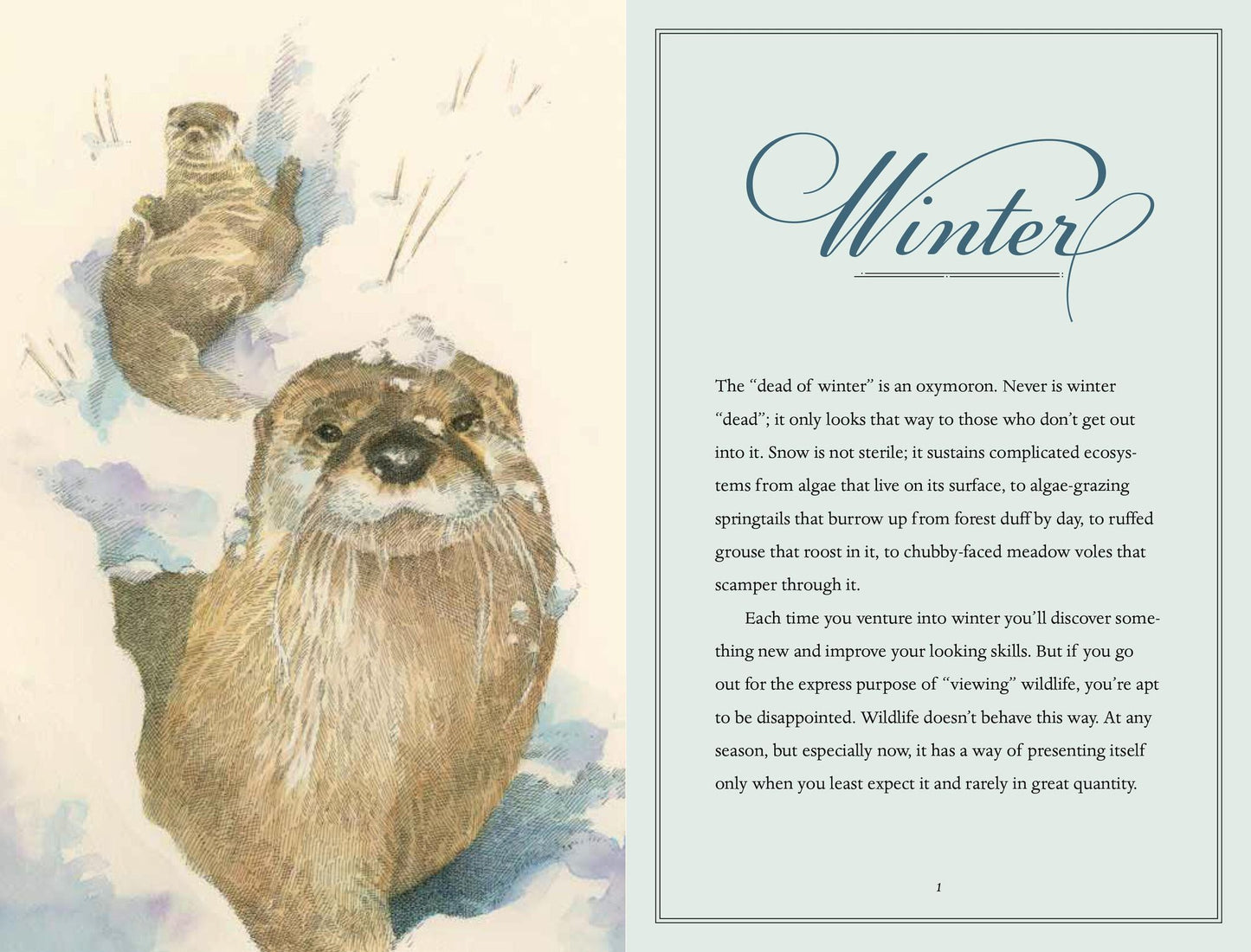 Earth Almanac: A Year of Witnessing the Wild, from the Call of the Loon to the Journey of the Gray Whale