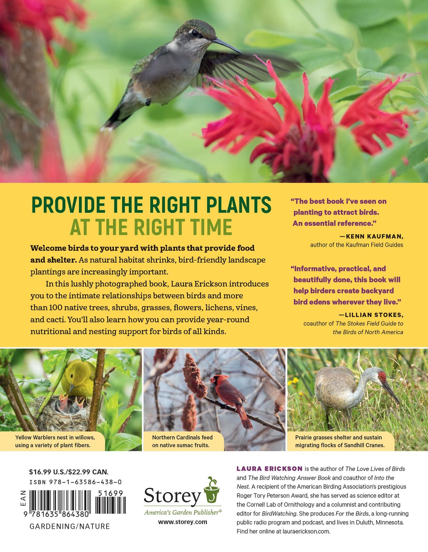 100 Plants to Feed the Birds: Turn Your Home Garden into a Healthy Bird Habitat