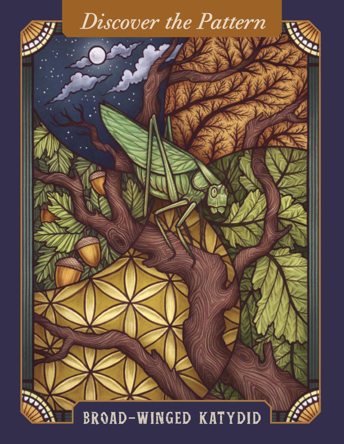 The Illustrated Bestiary Oracle Cards: 36-Card Deck of Inspiring Animals