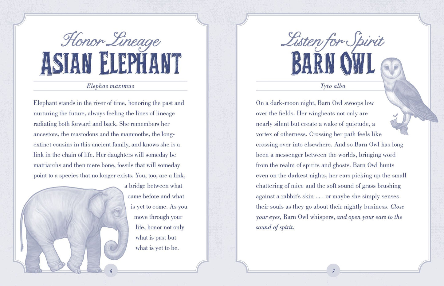The Illustrated Bestiary Oracle Cards: 36-Card Deck of Inspiring Animals