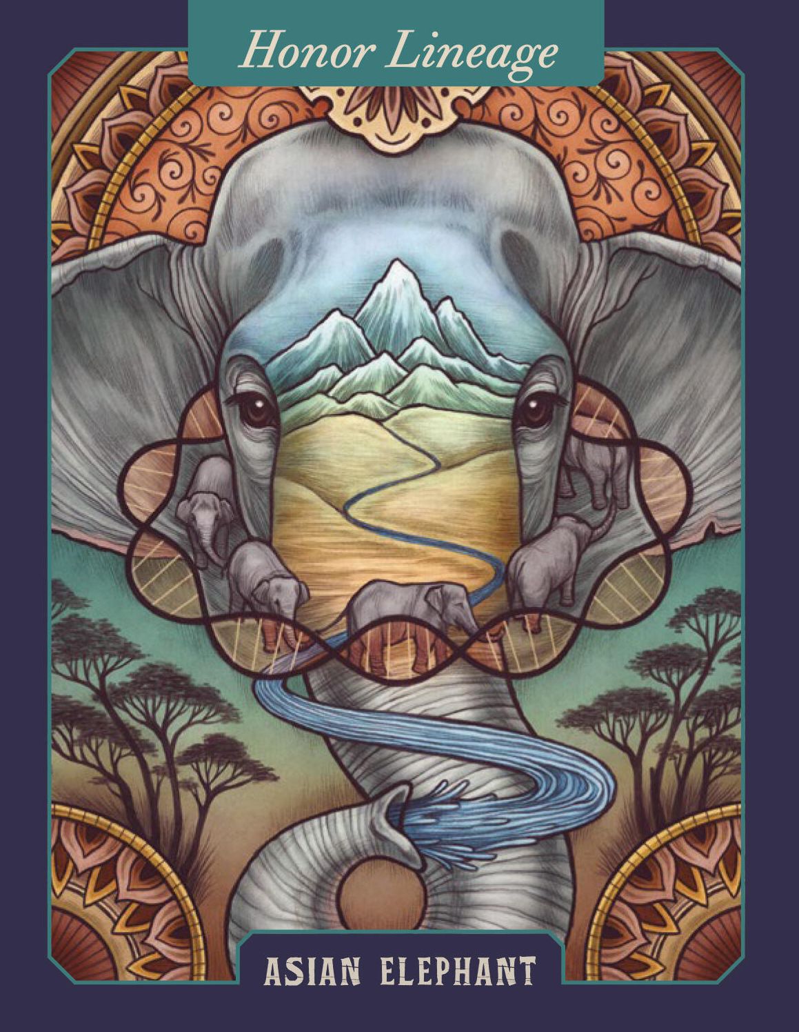 The Illustrated Bestiary Oracle Cards: 36-Card Deck of Inspiring Animals