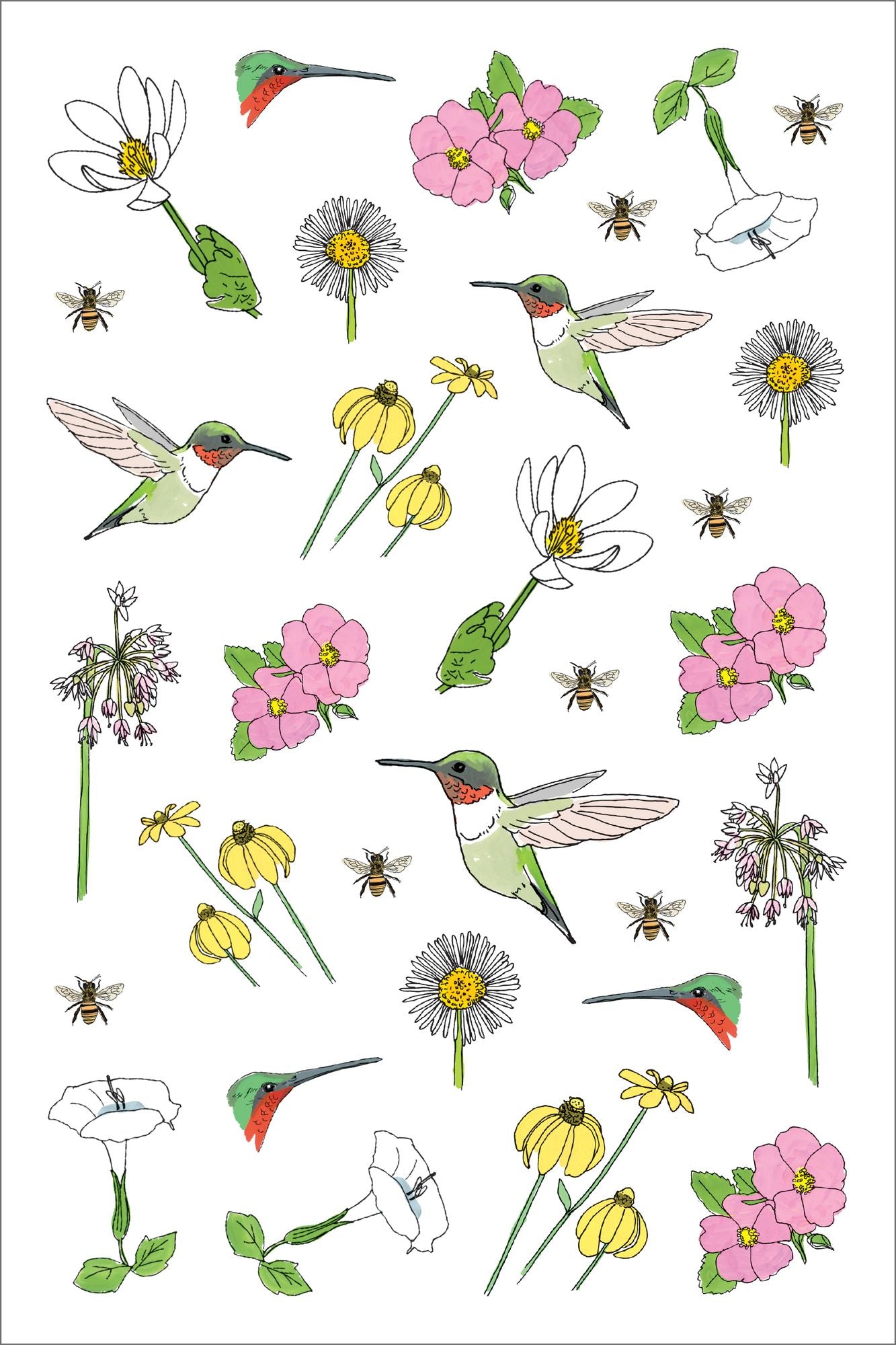 Nature Anatomy Sticker Book: A Julia Rothman Creation; More than 750 Stickers