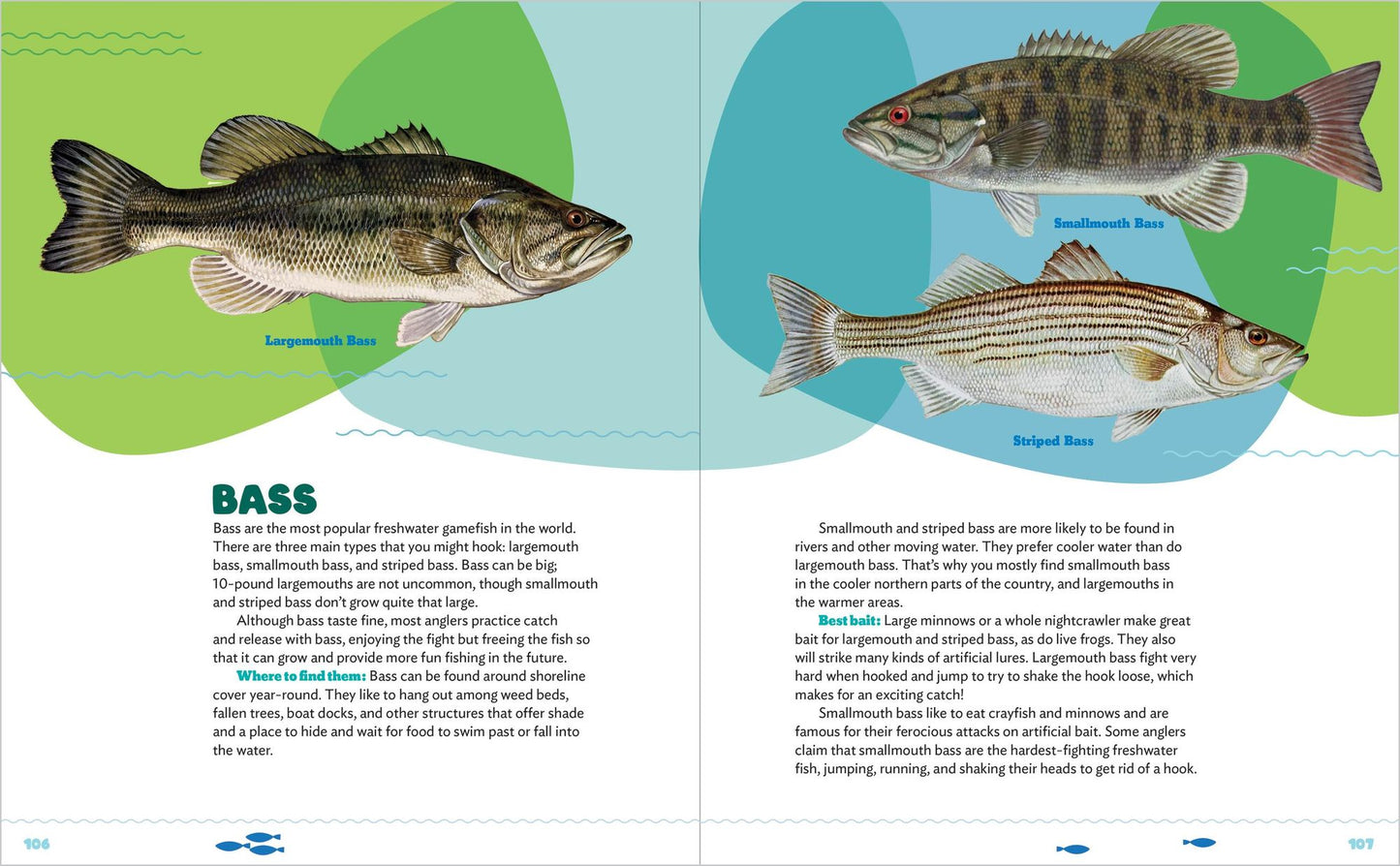 Let's Learn to Fish!: Everything You Need to Know to Start Freshwater Fishing