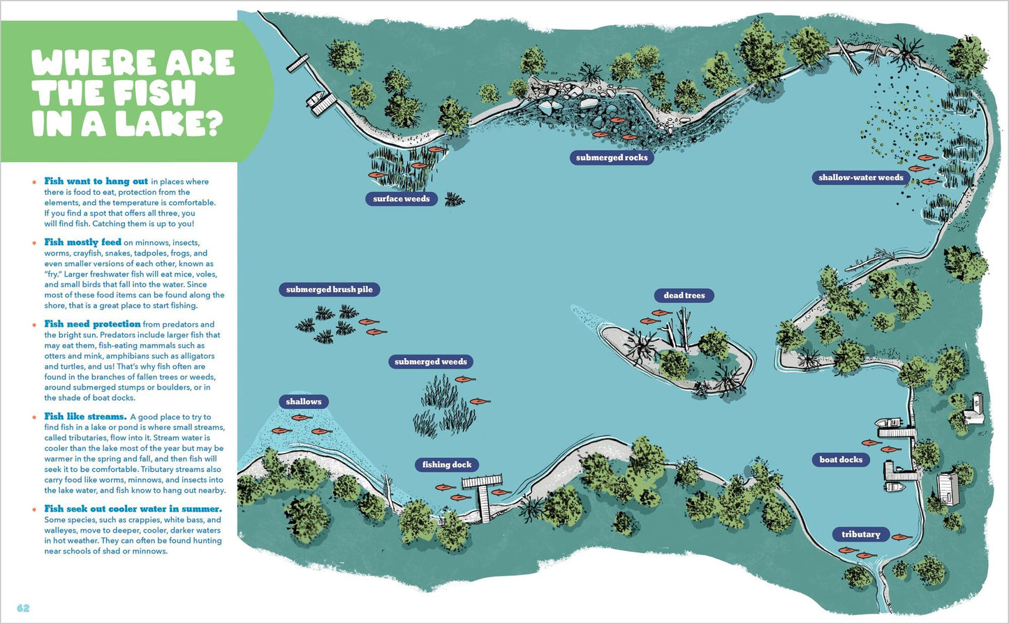 Let's Learn to Fish!: Everything You Need to Know to Start Freshwater Fishing