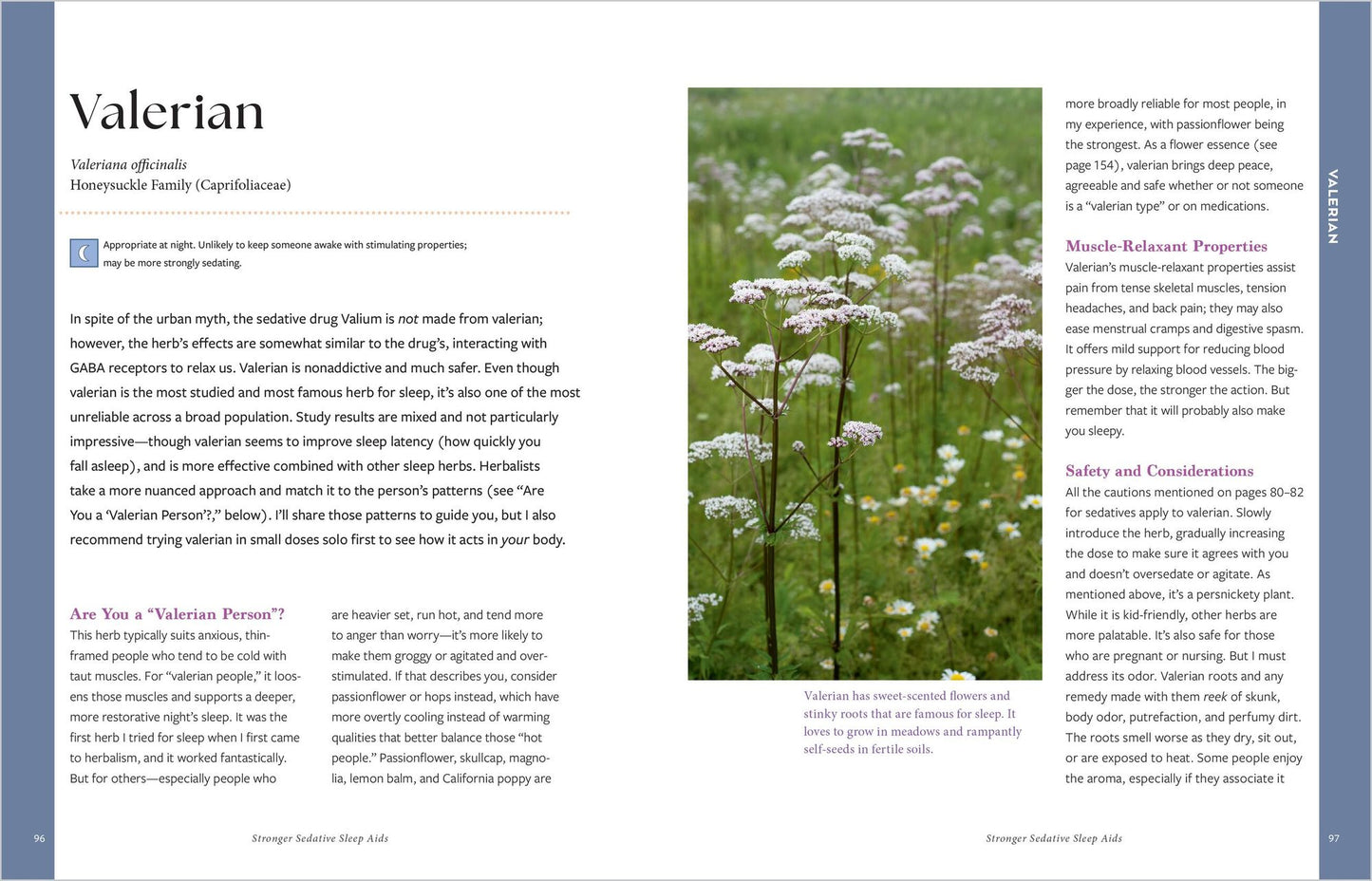 Herbal Remedies for Sleep: How to Use Healing Herbs and Natural Therapies to Ease Stress, Promote Relaxation, and Encourage Healthy Sleep Habits