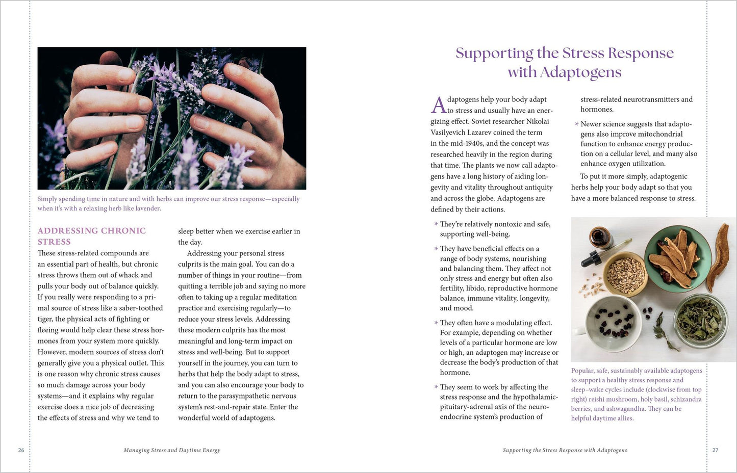 Herbal Remedies for Sleep: How to Use Healing Herbs and Natural Therapies to Ease Stress, Promote Relaxation, and Encourage Healthy Sleep Habits